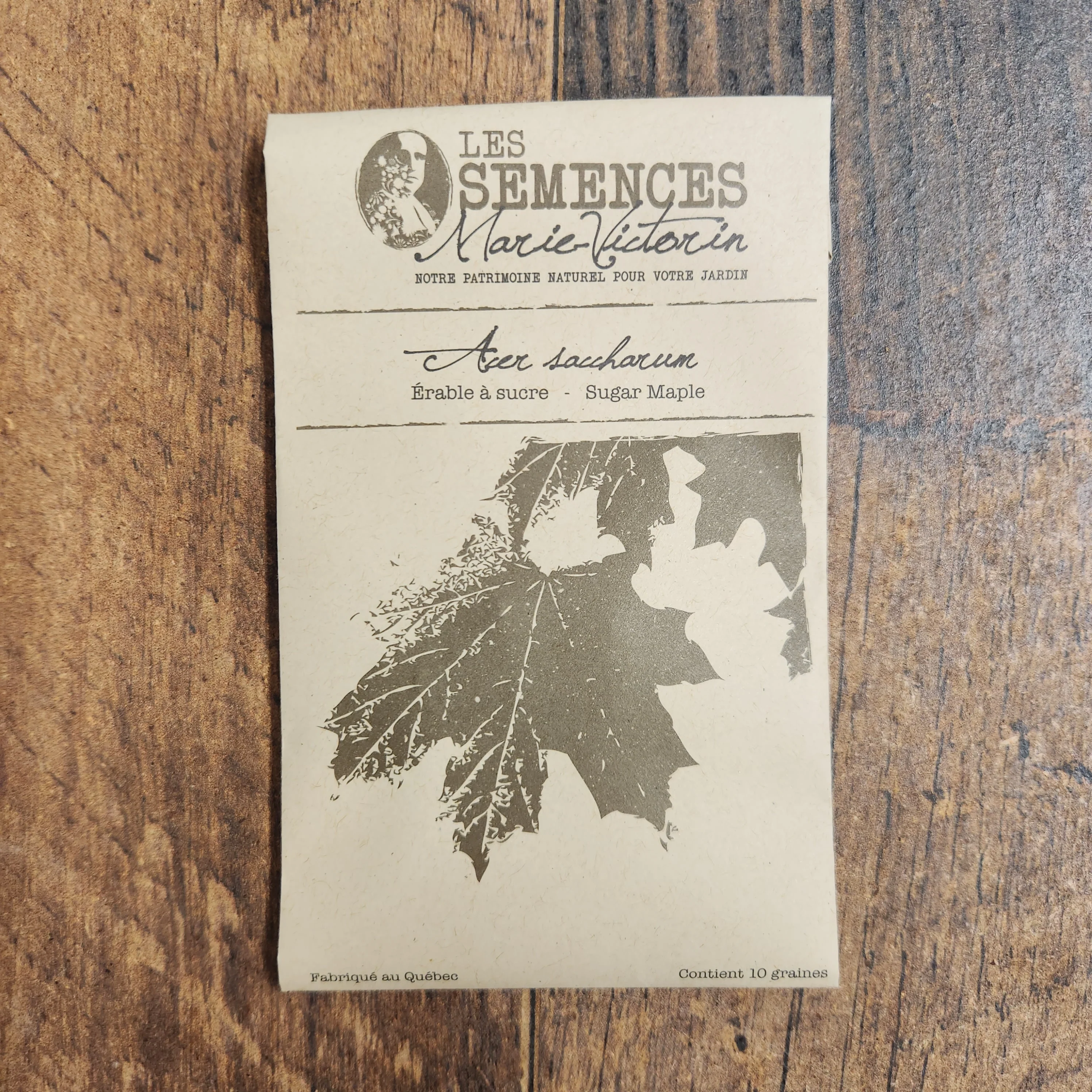Érable à sucre - Image 2