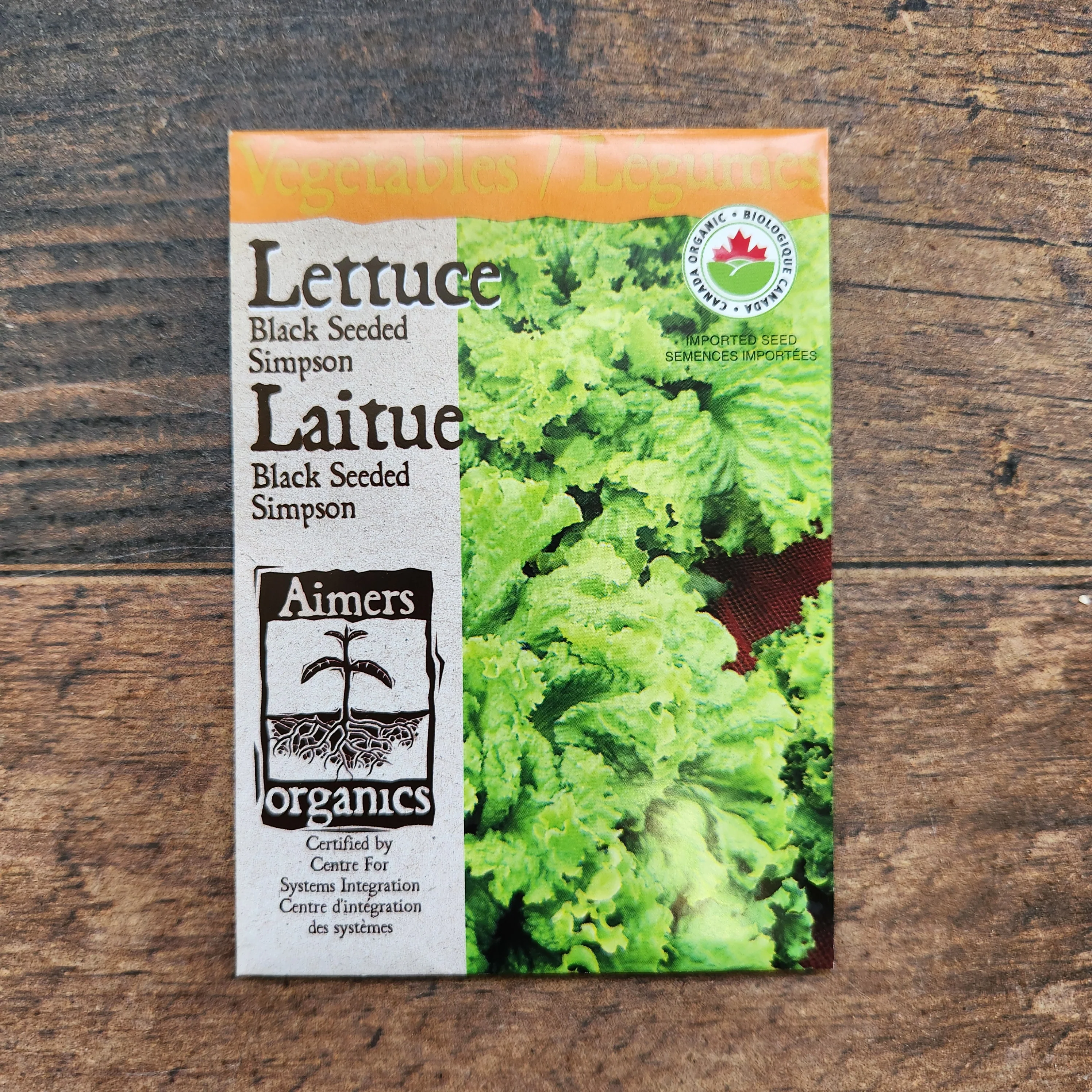 Laitue 'Black Seeded Simpson' bio