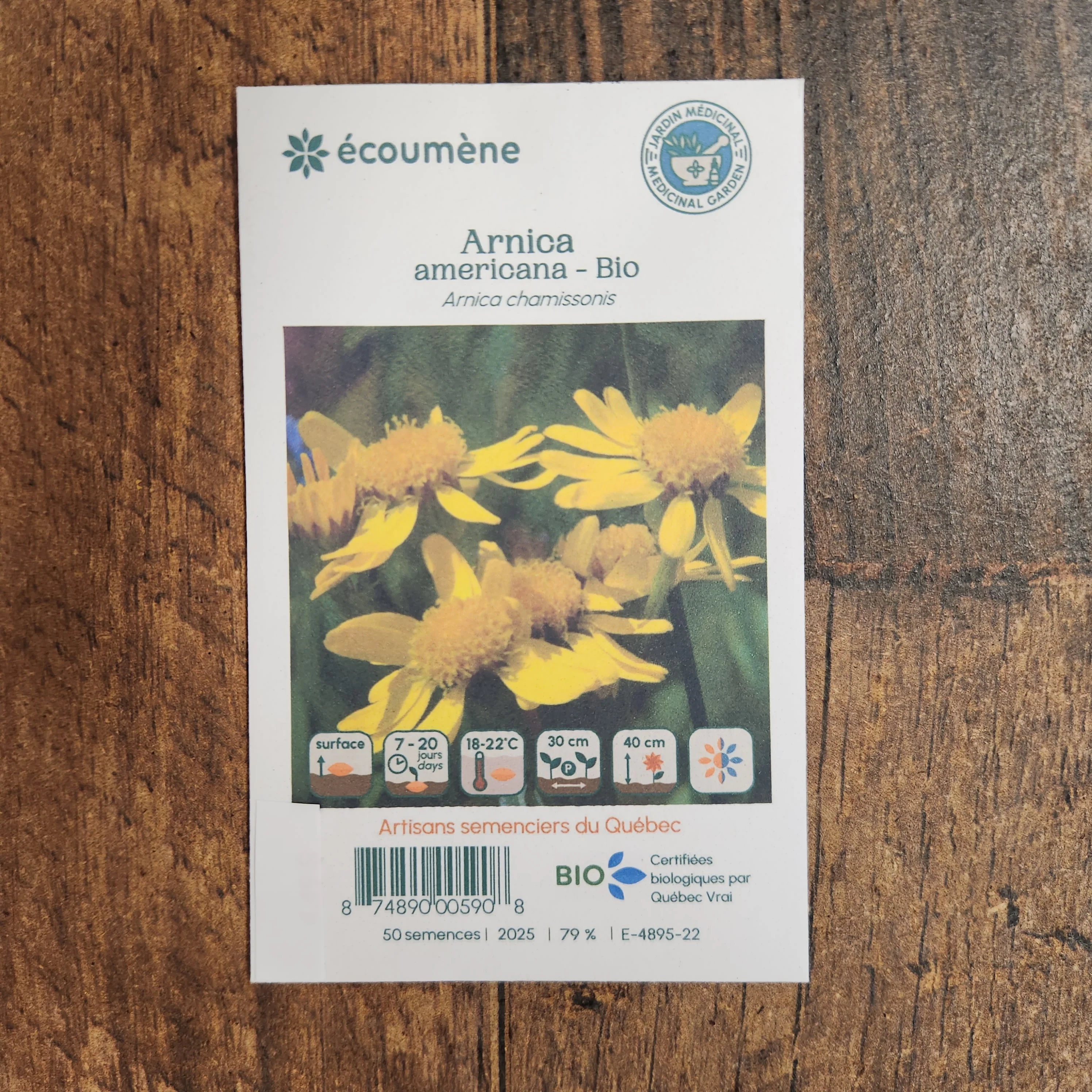 Arnica americana bio - Image 2