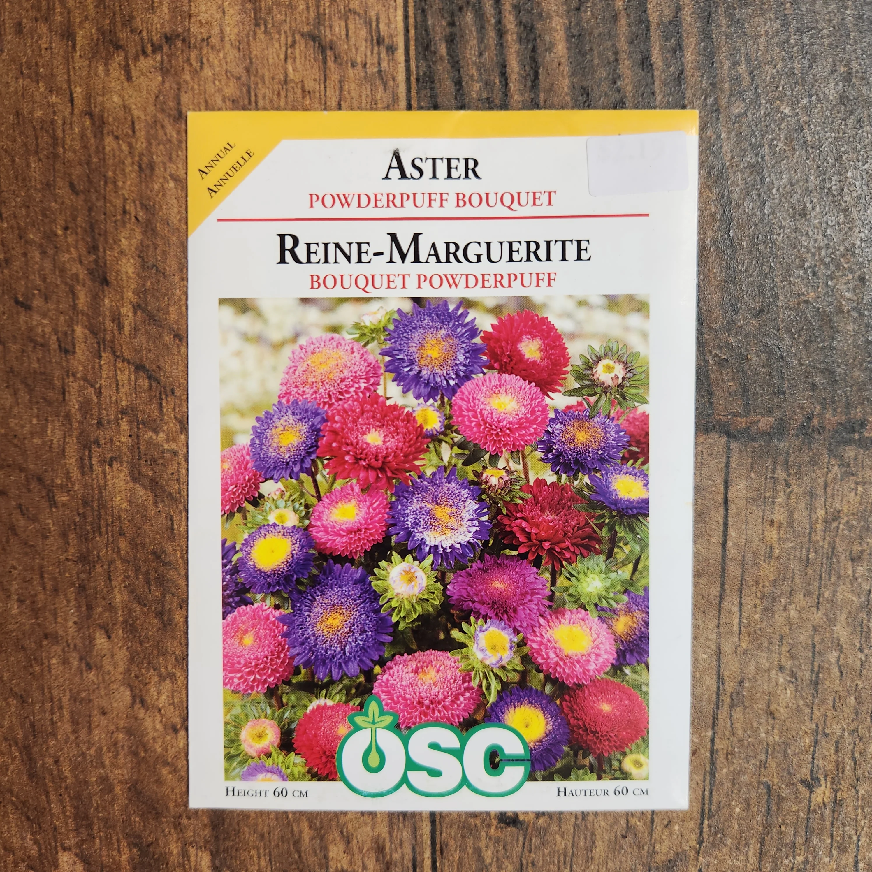 Aster mélange 'Bouquet Powderpuff' - Image 2