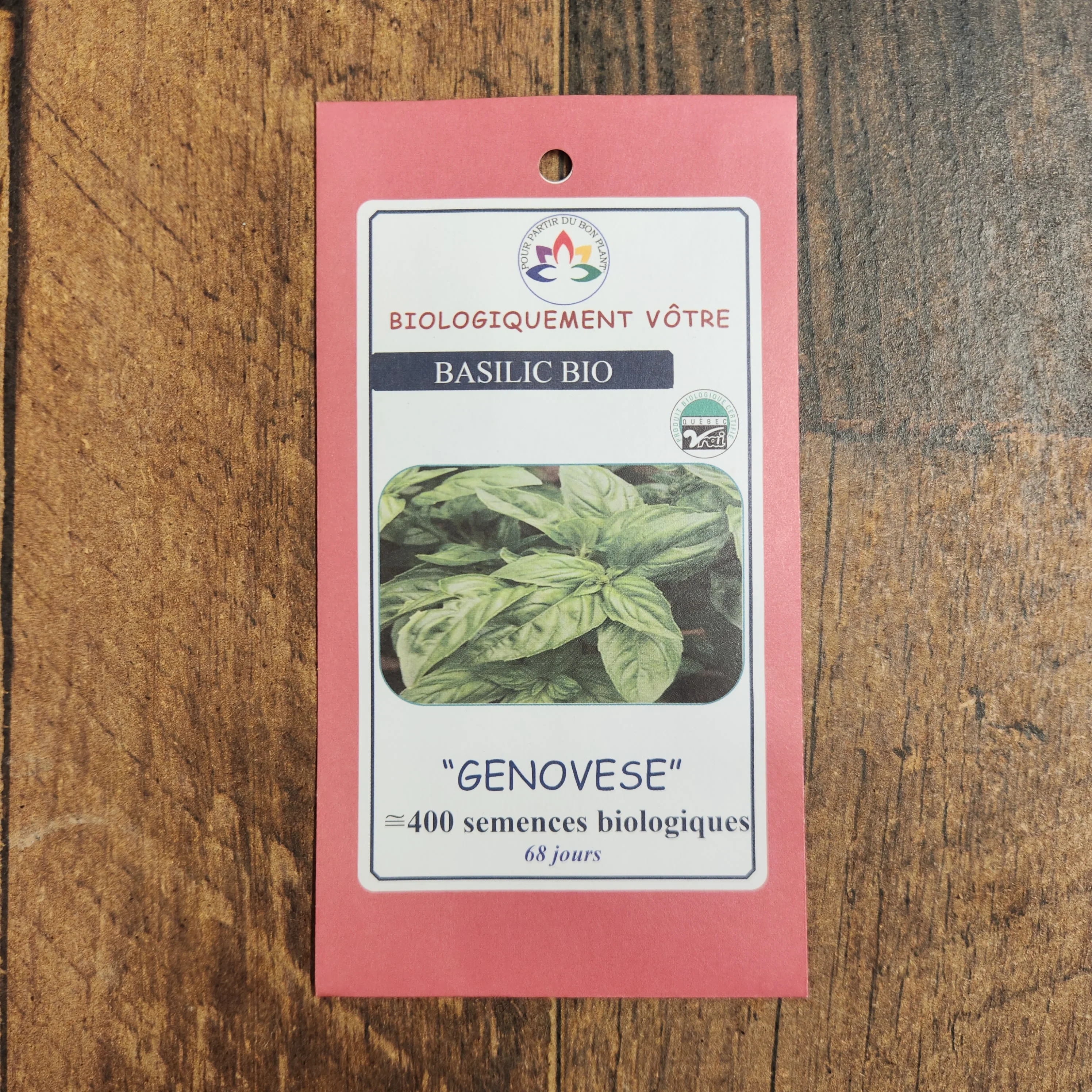 Basilic 'Genovese' bio - Image 2