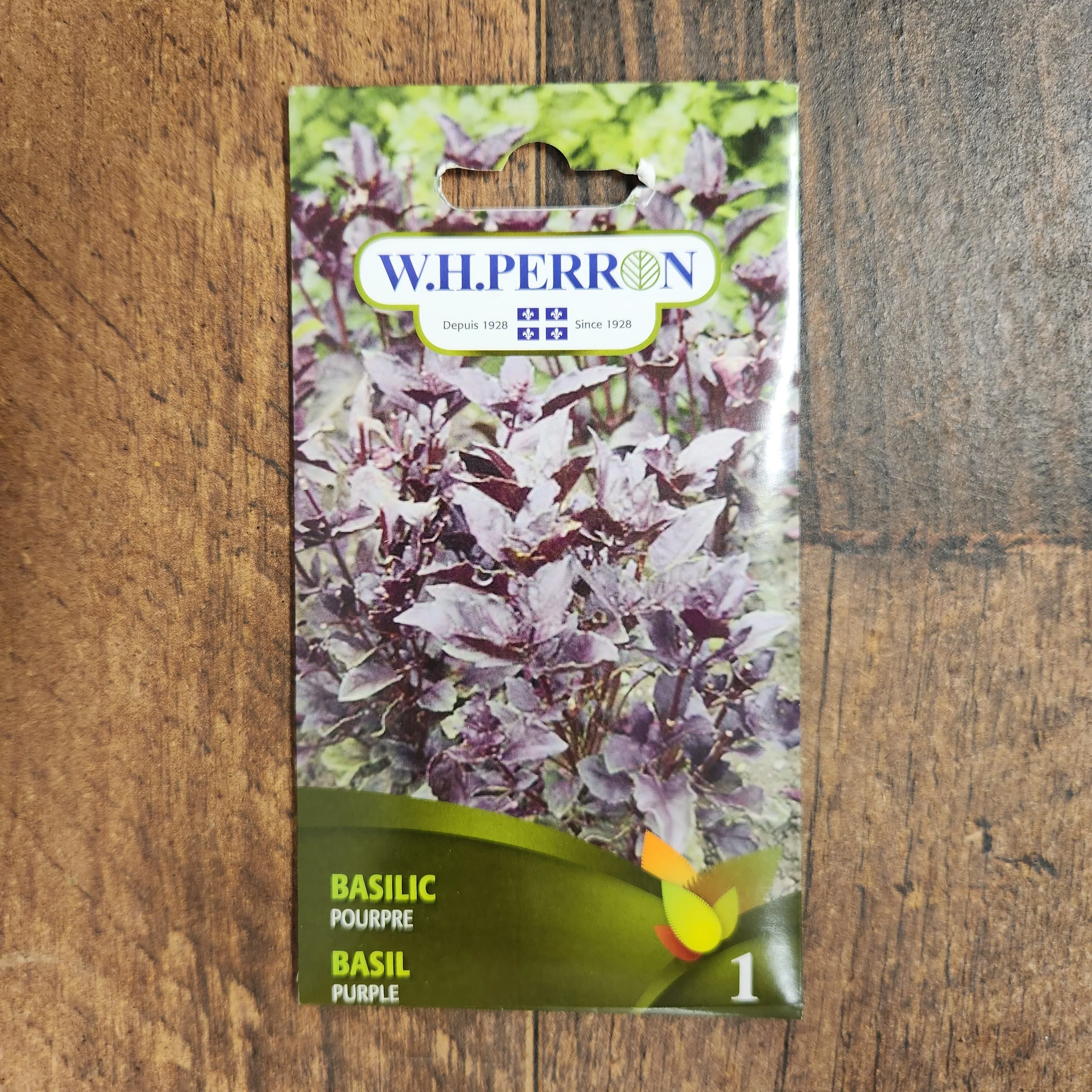 Basilic pourpre - Image 2