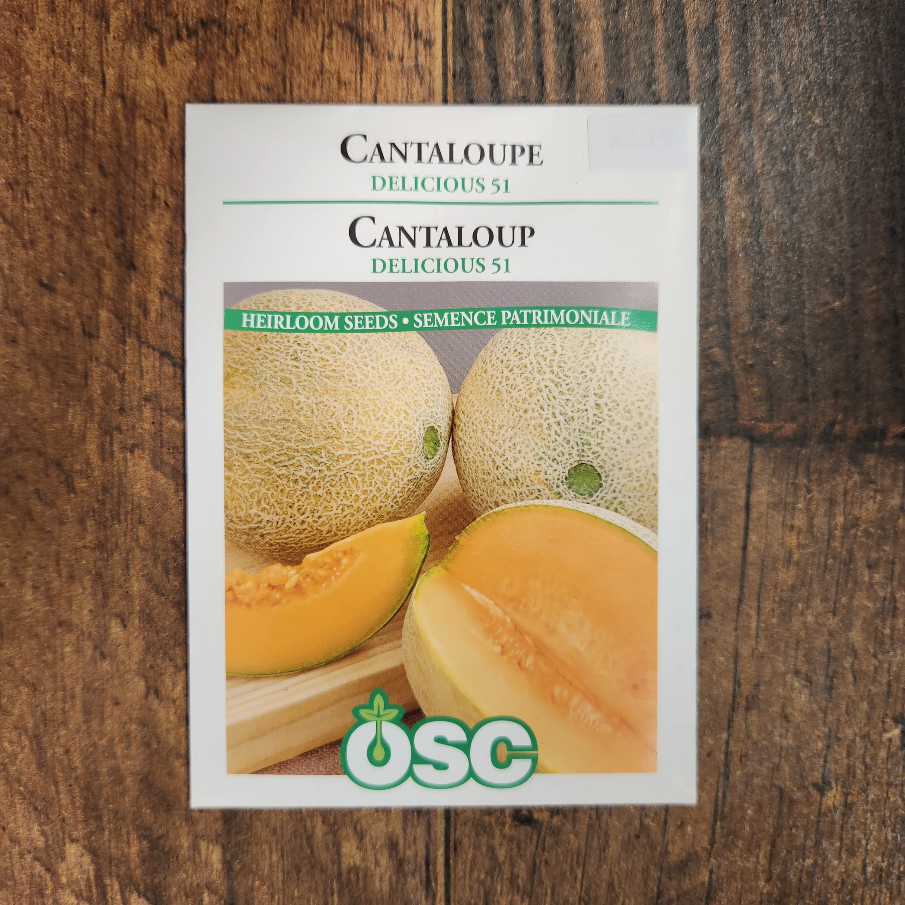 Cantaloup 'Delicious 51' - Image 2