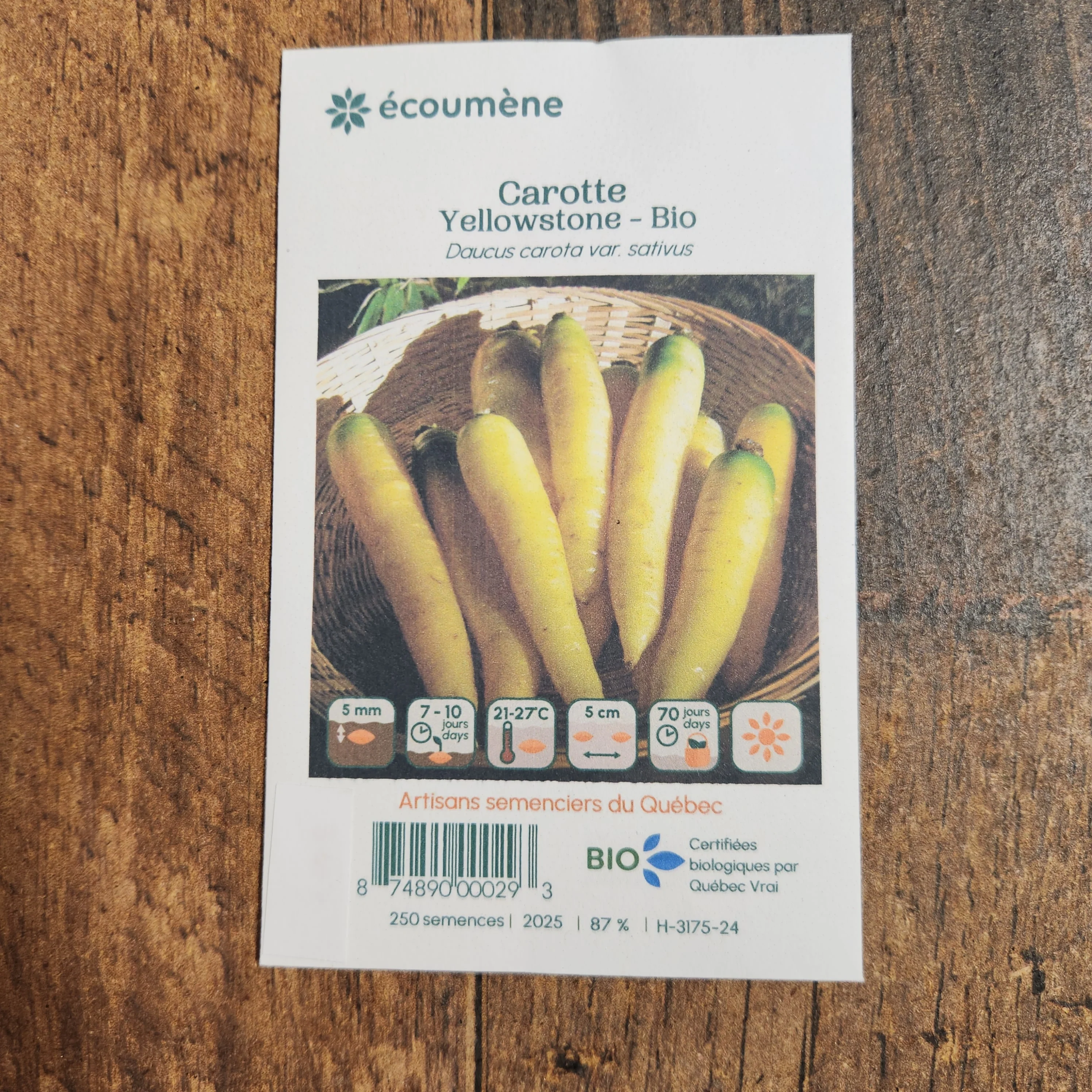 Carotte jaune 'Yellowstone' bio - Image 2