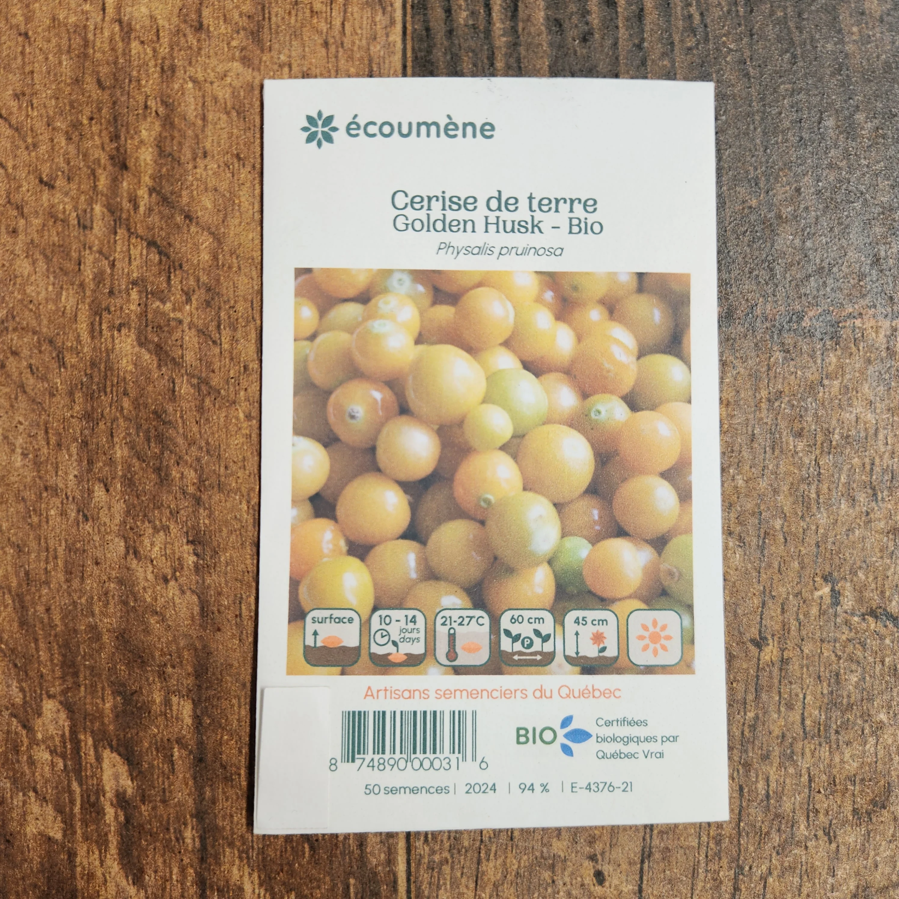 Cerise de terre 'Golden Husk' bio - Image 2