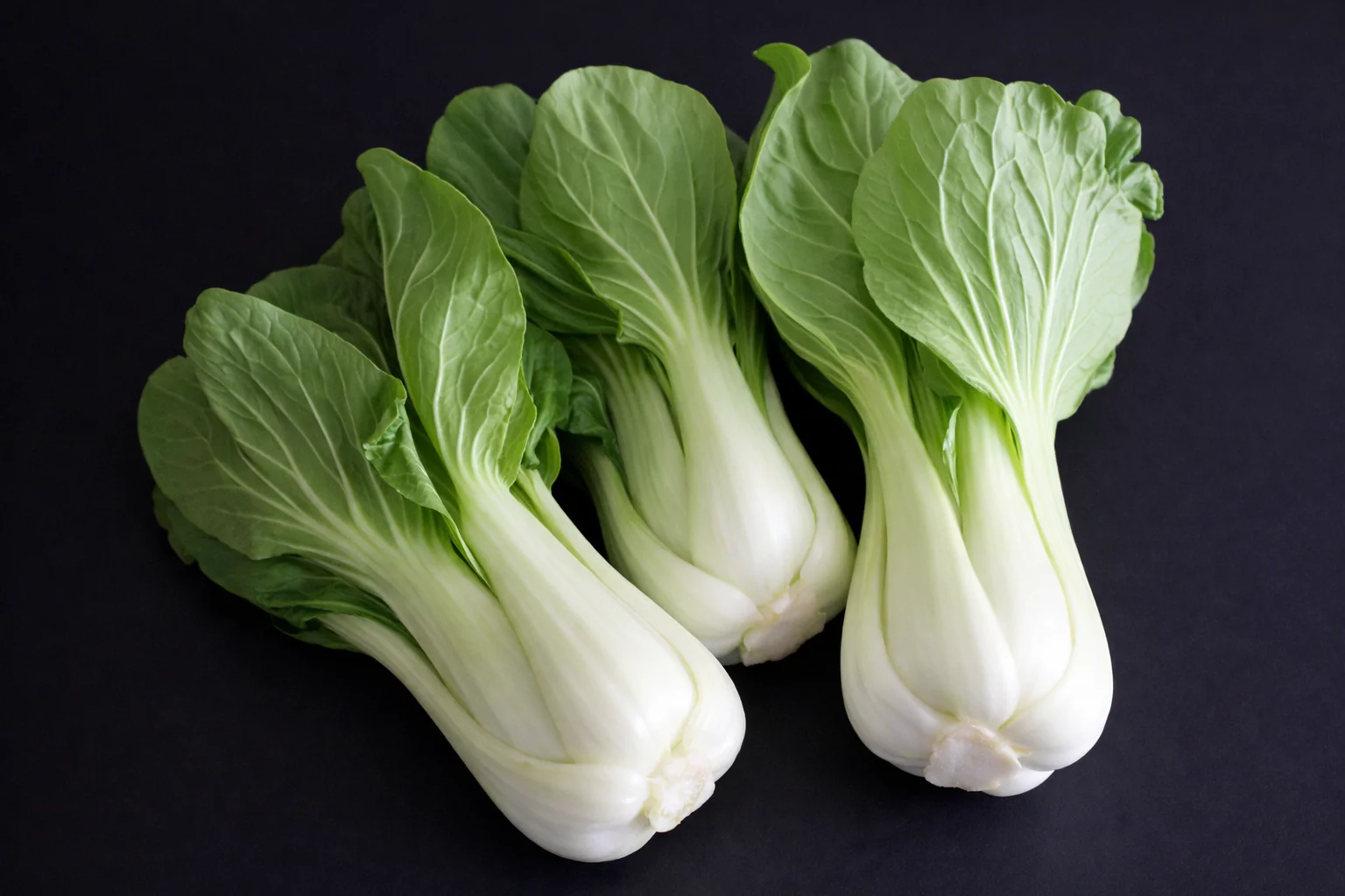 Chou chinois 'Bok Choy'