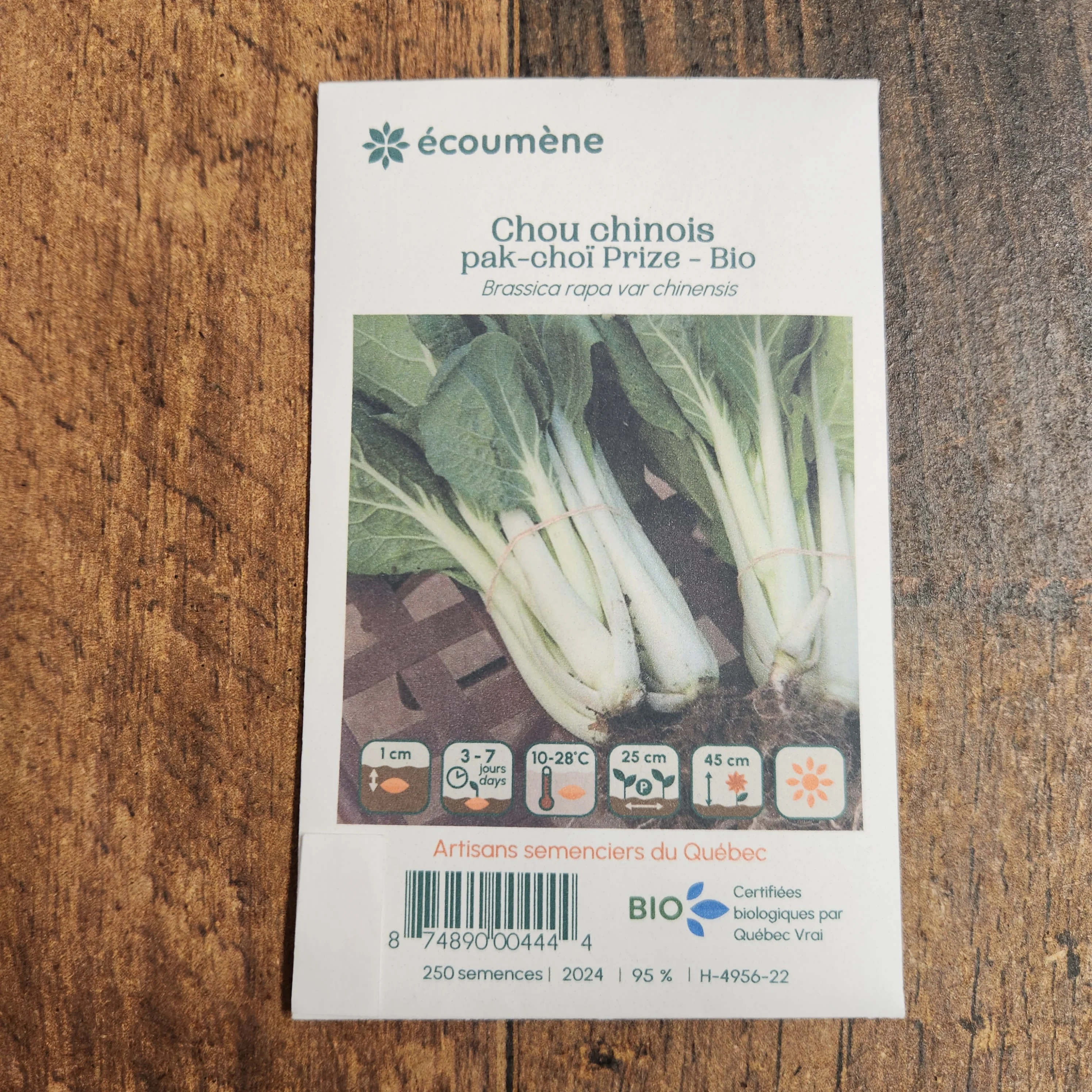 Chou chinois 'Pak-Choï Prize' bio - Image 2