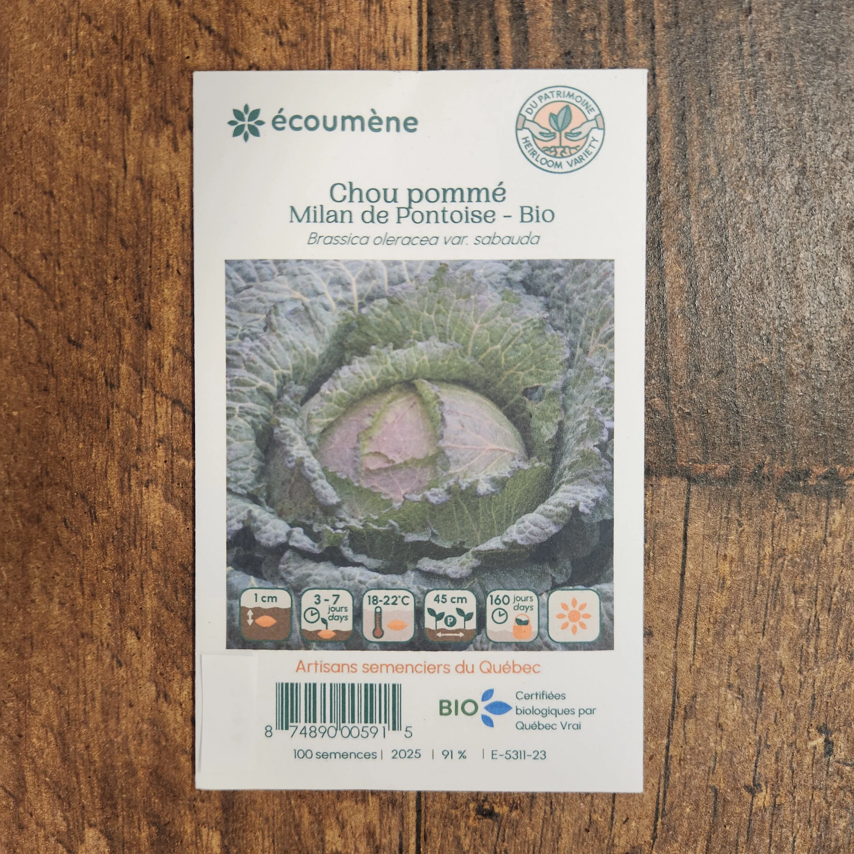 Chou rouge 'Milan de Pontoise' bio - Image 2