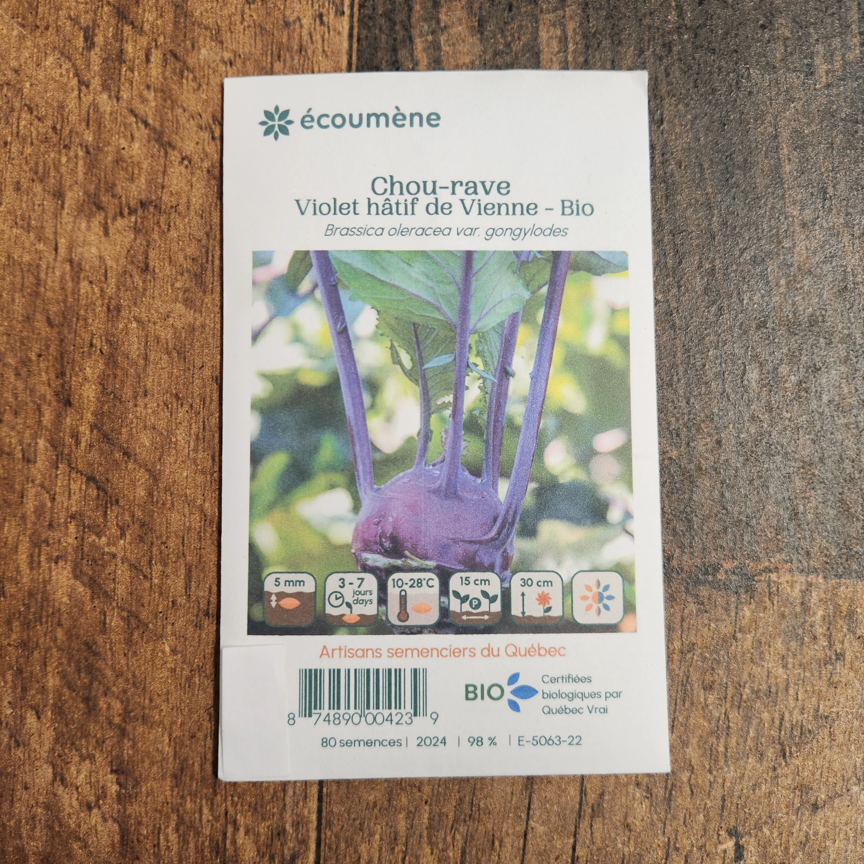 Chou-rave 'Violet hâtif de Vienne' bio - Image 2