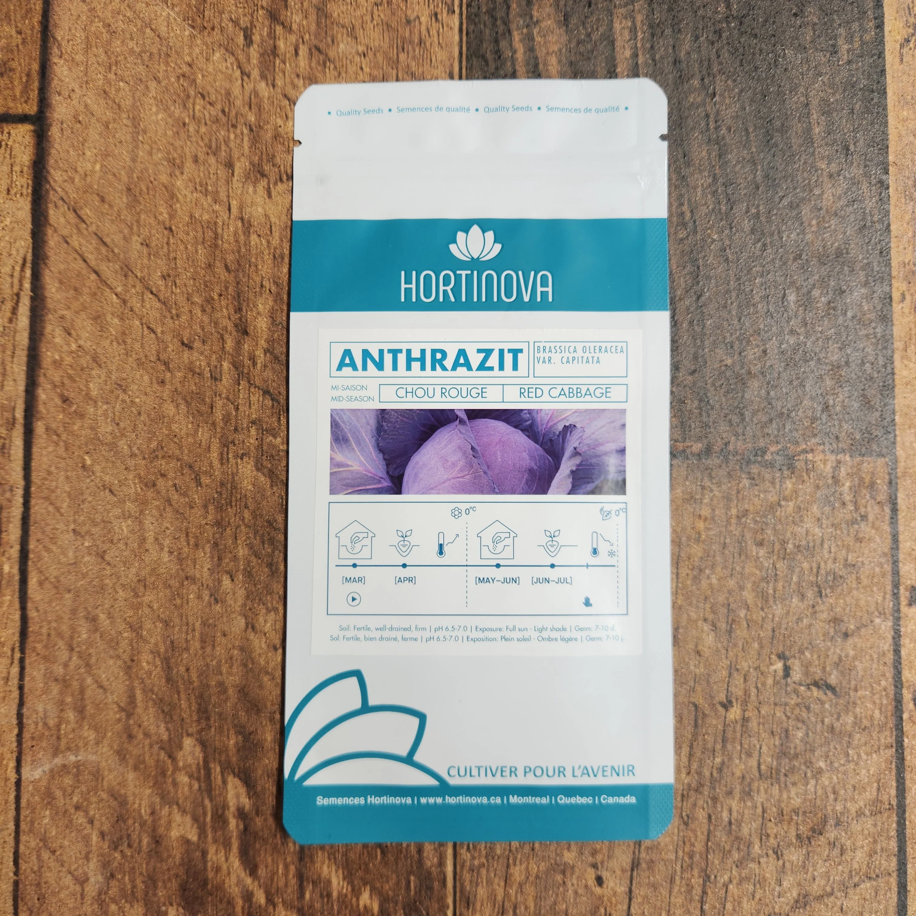 Chou rouge 'Antrazit' - Image 2