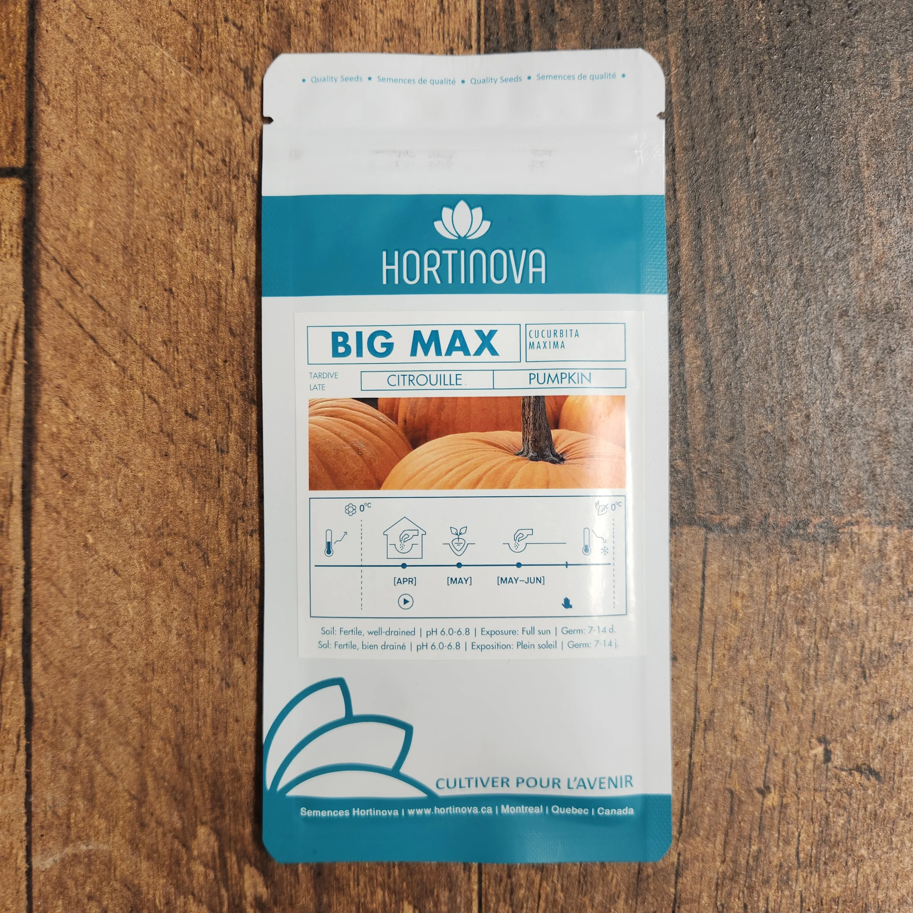 Citrouille 'Big max' - Image 2