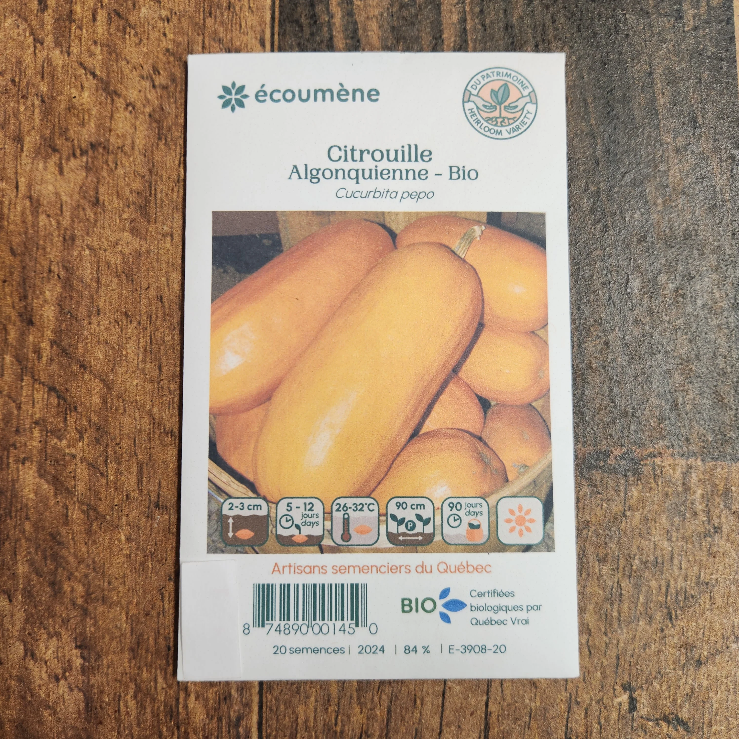 Citrouille 'Algonquienne' bio - Image 2