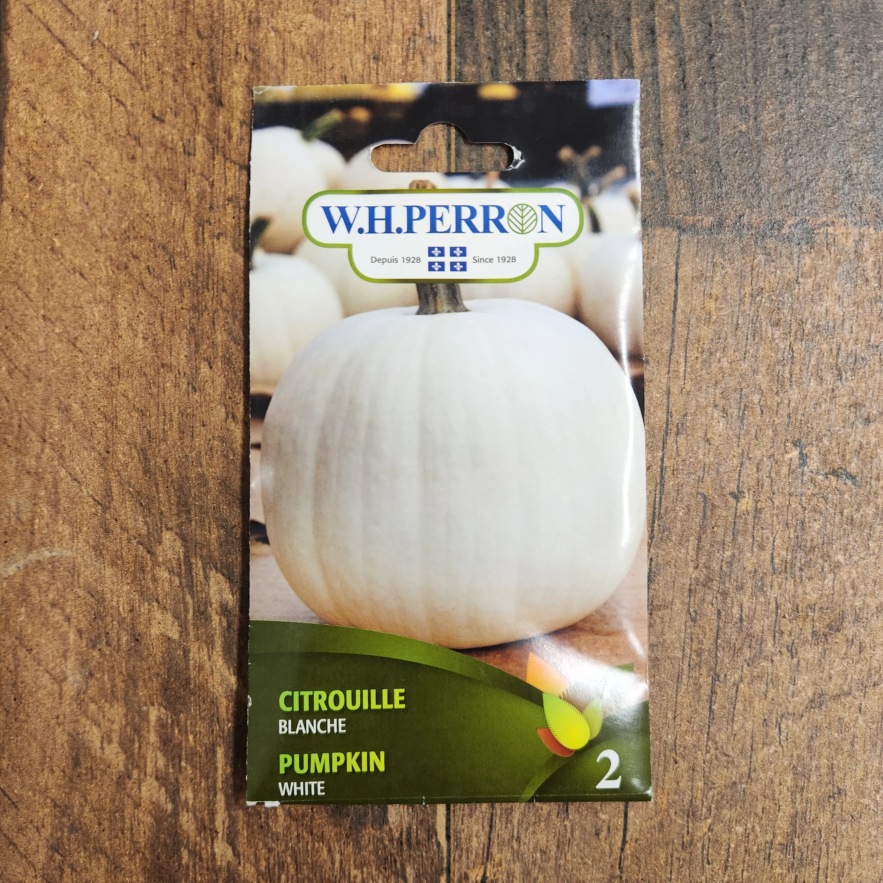 Citrouille blanche - Image 2