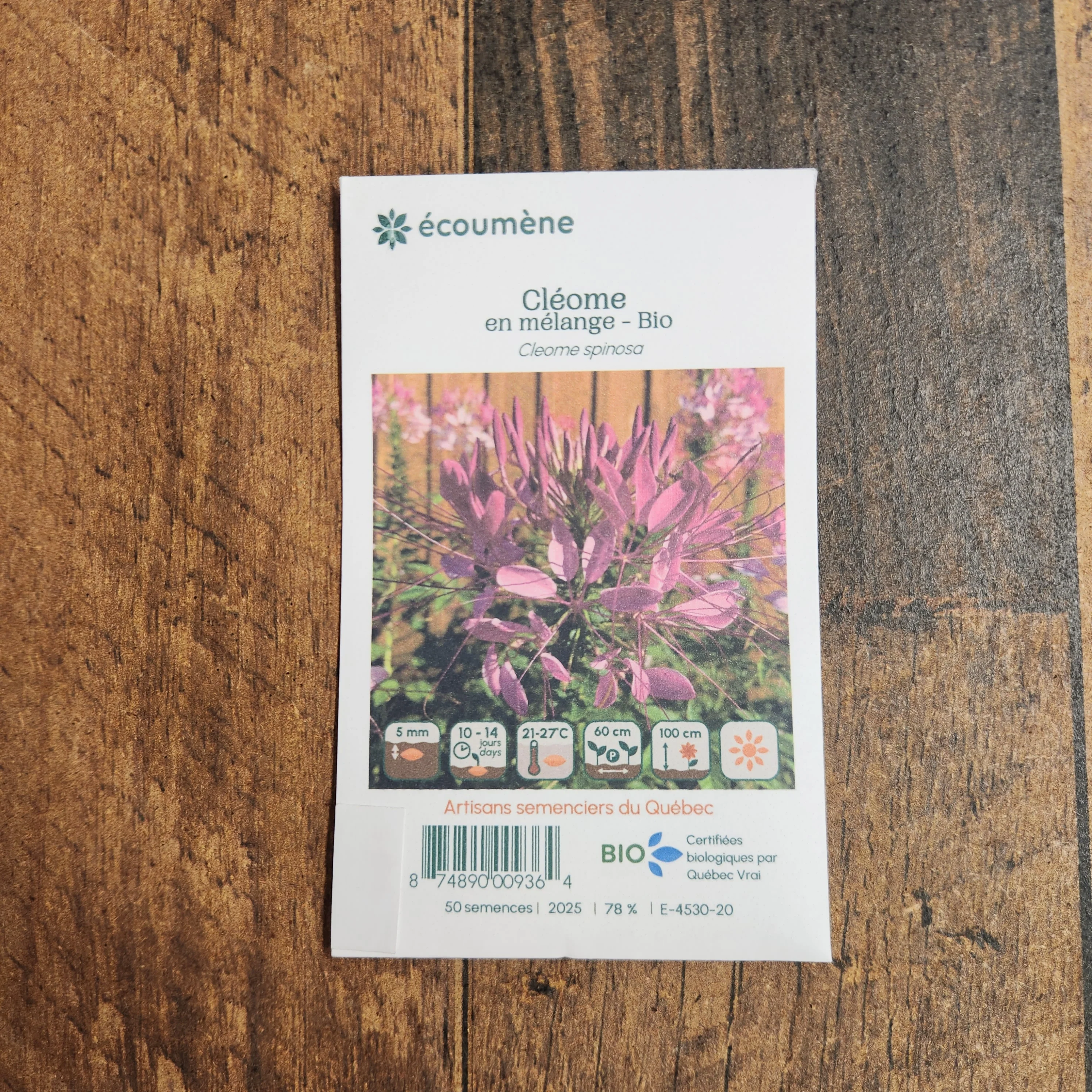 Mélange de cléomes bio - Image 2