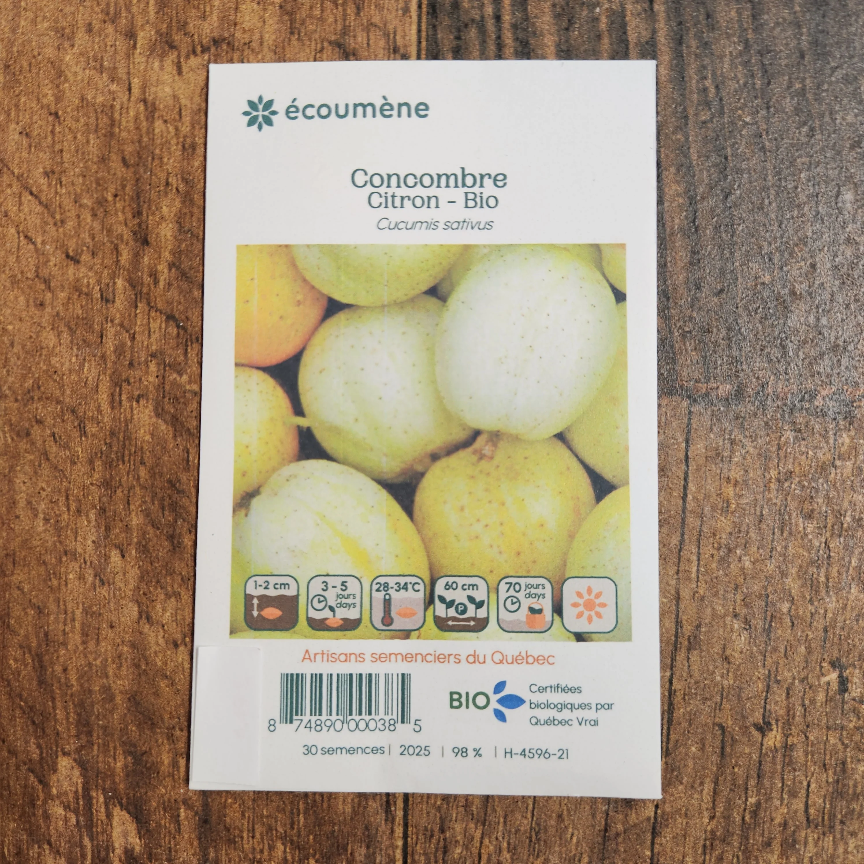 Concombre 'Citron' bio - Image 2