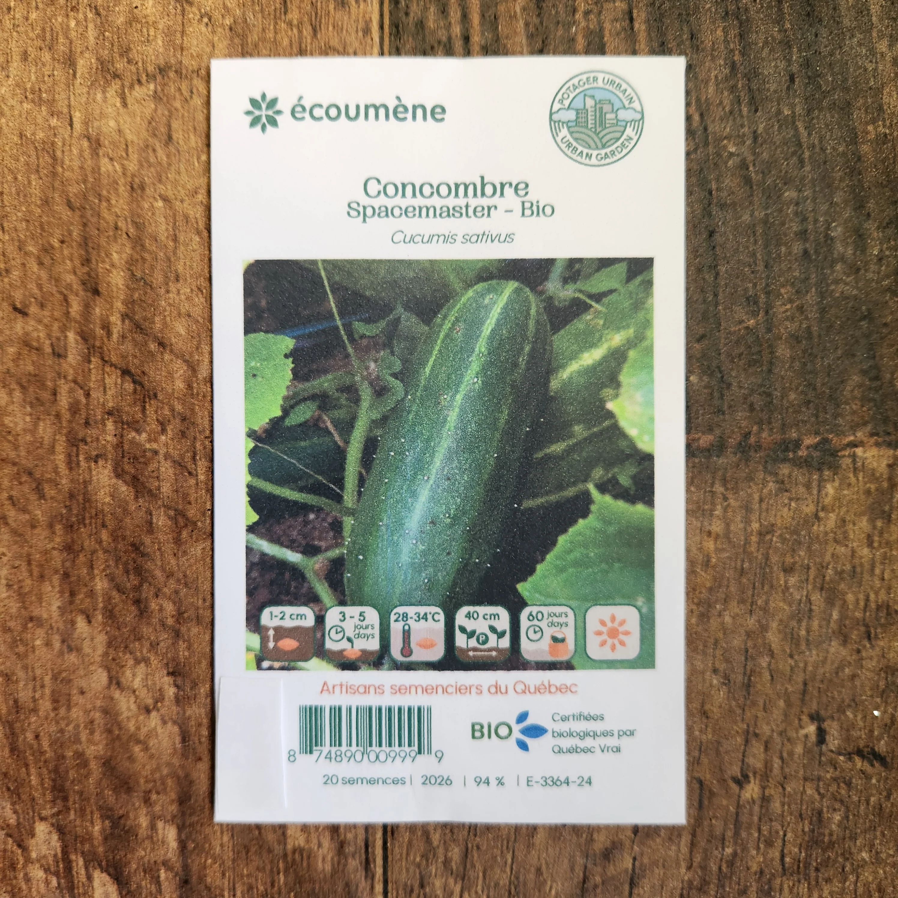 Concombre 'Spacemaster' bio - Image 2