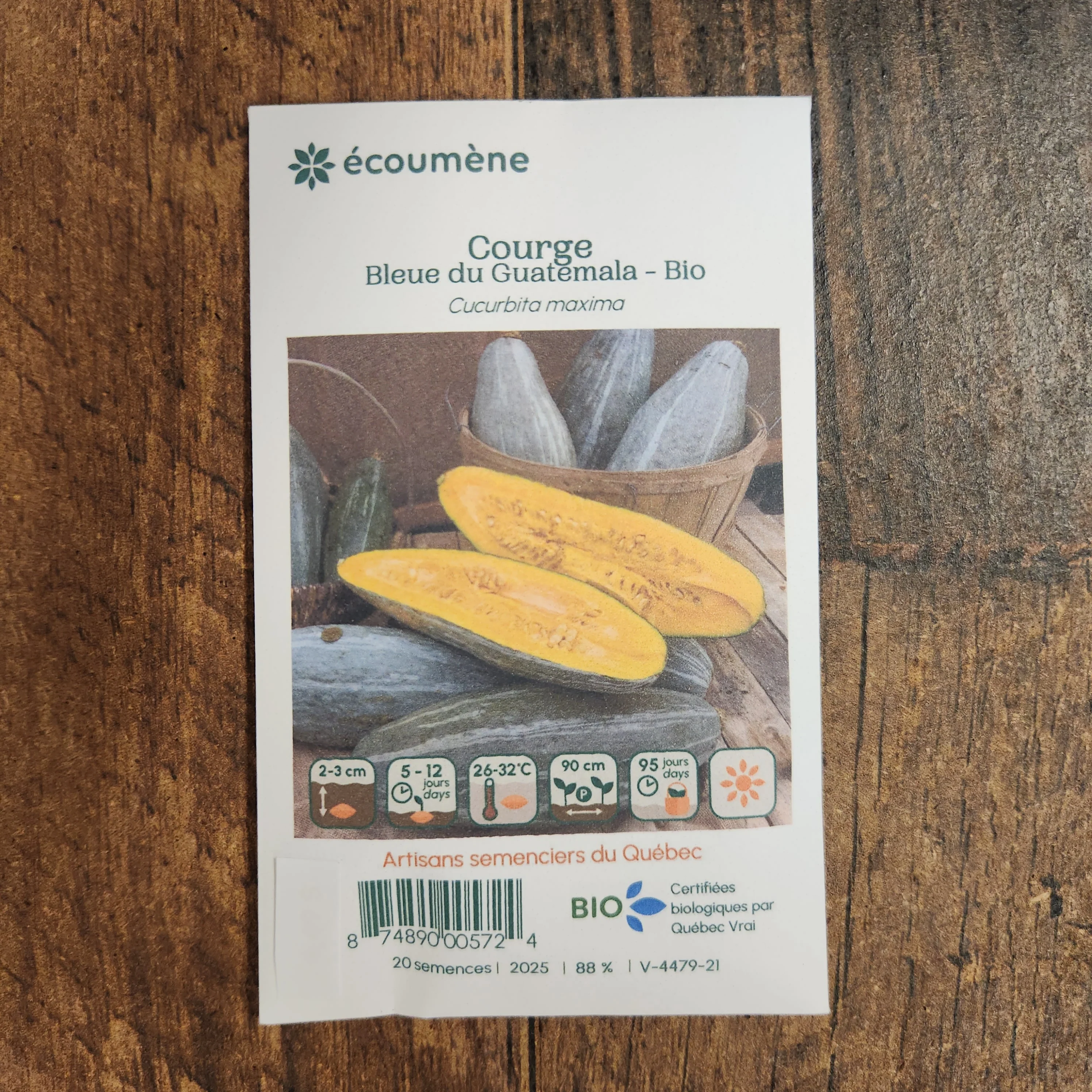 Courge 'Bleue du Guatemala' bio - Image 2