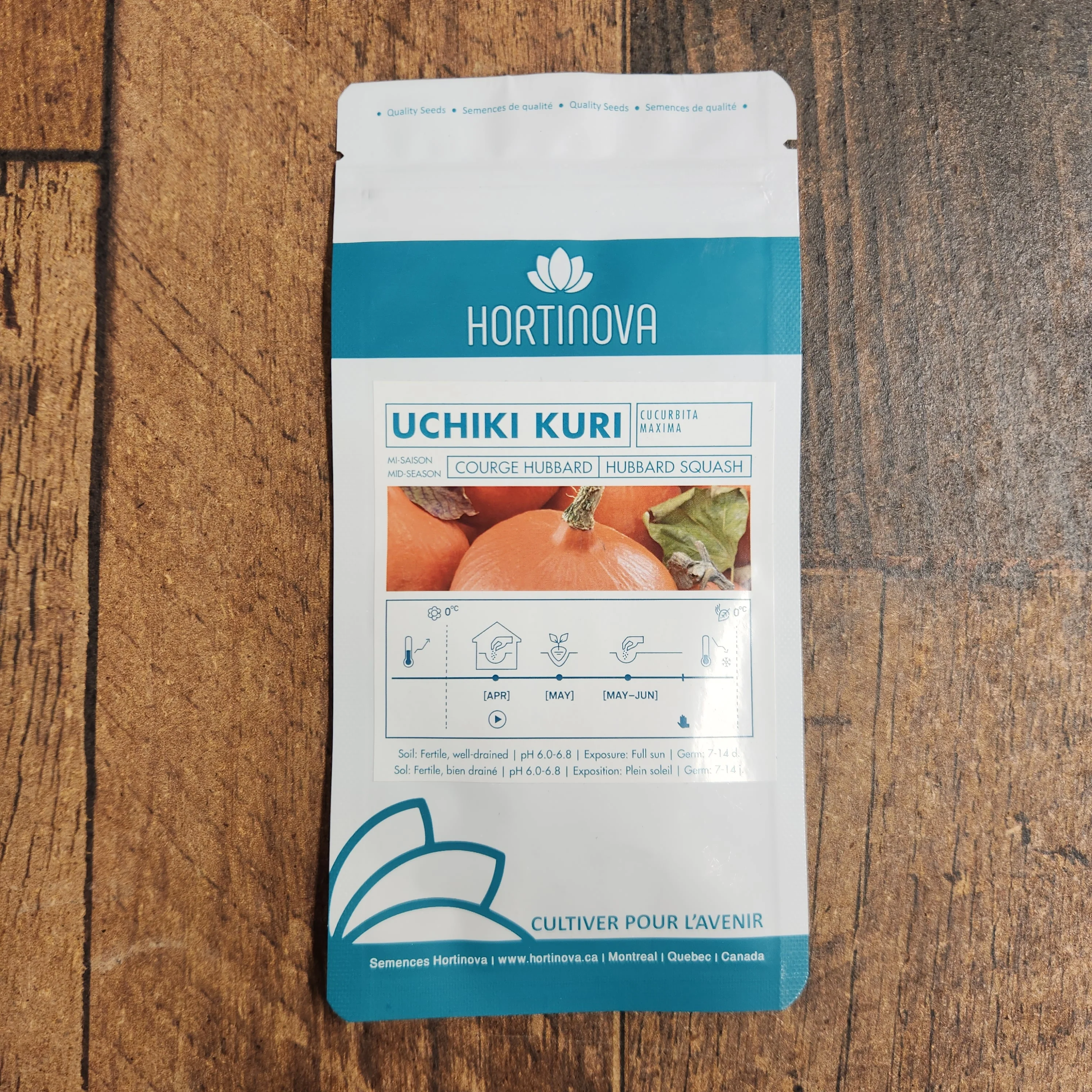 Courge 'Uchiki Kuri' - Image 2