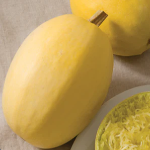 Courge 'Spaghetti' bio