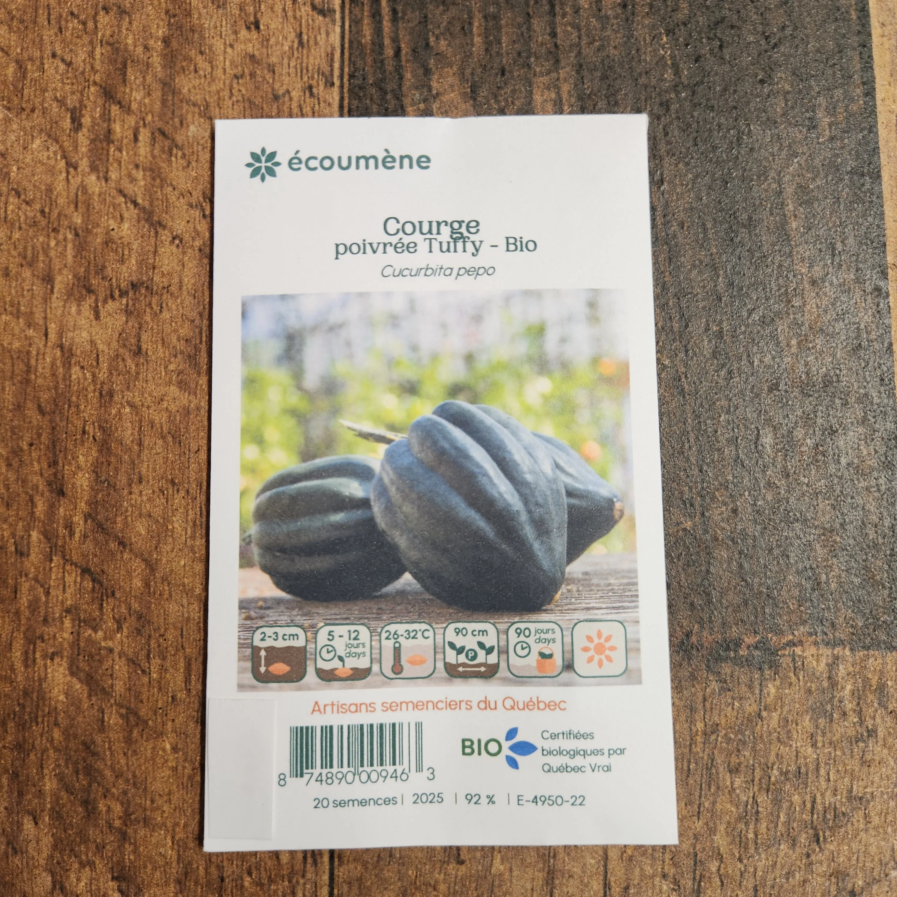Courge poivrée 'Tuffy' bio - Image 2