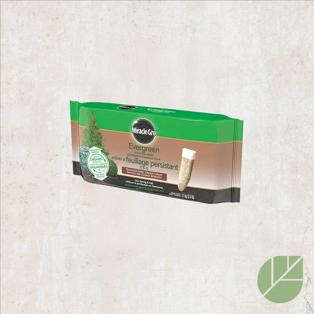 Bâtonnets d’engrais Miracle-Gro® 12-6-12 pour conifères