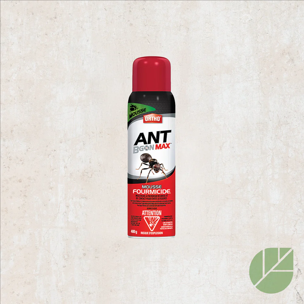 Mousse fourmicide Ortho® Ant B Gon Max