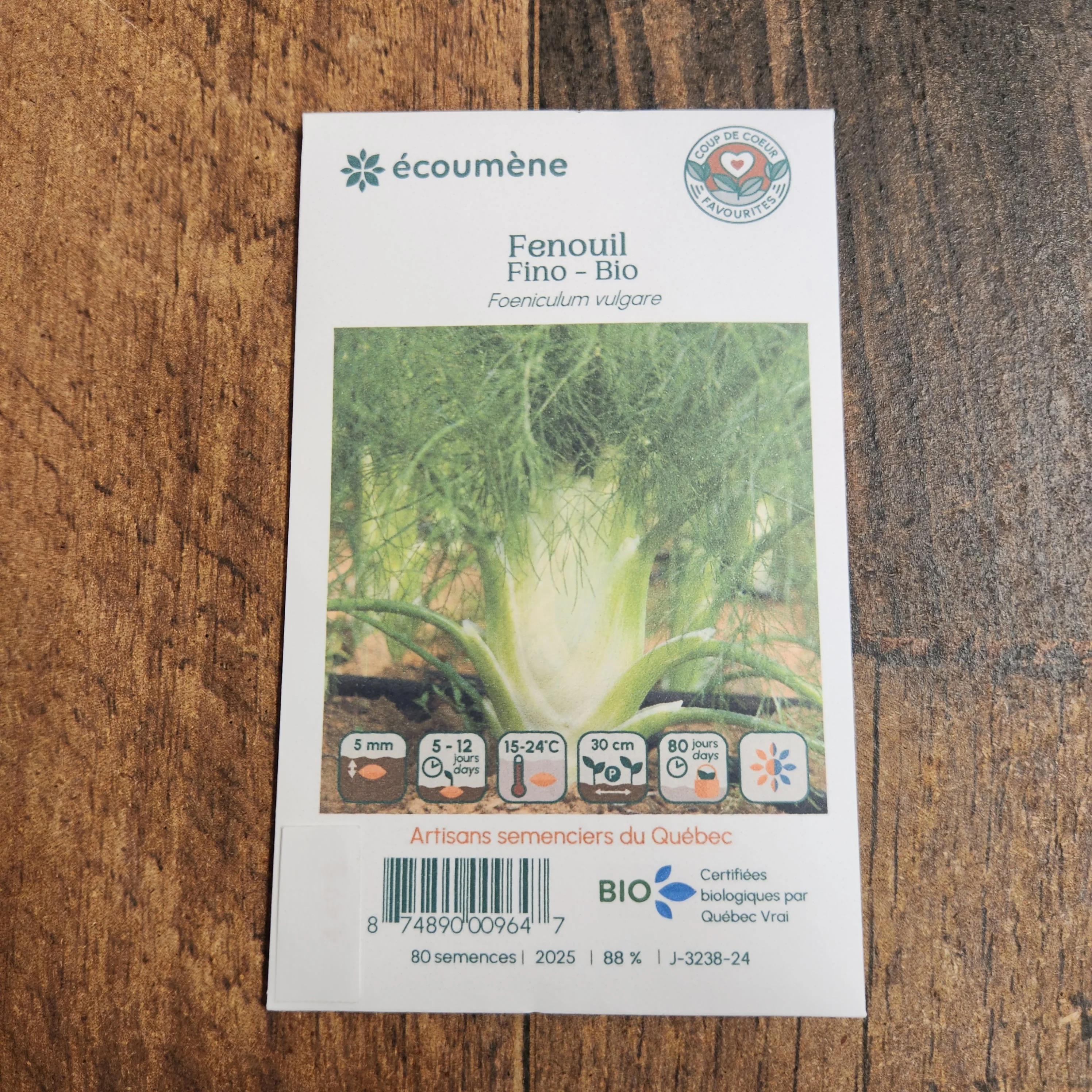 Fenouil 'Fino' bio - Image 2