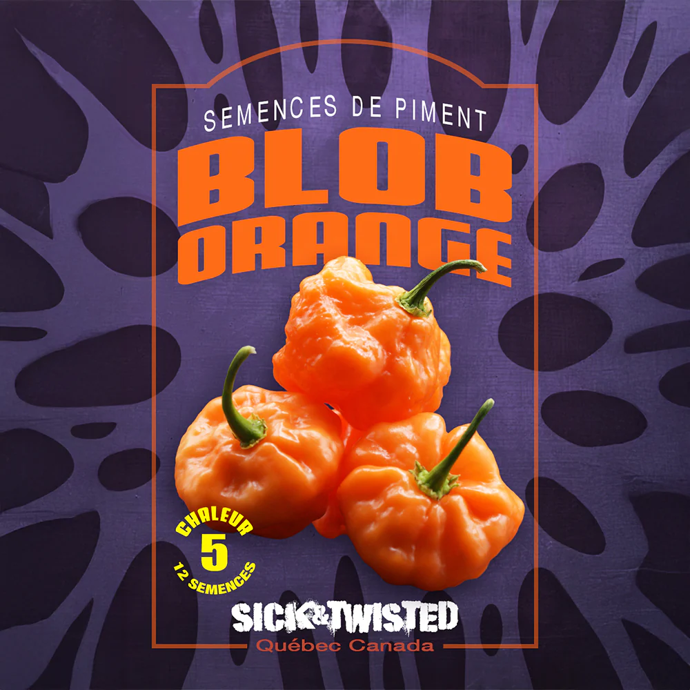 Piment fort 'Blob Orange'