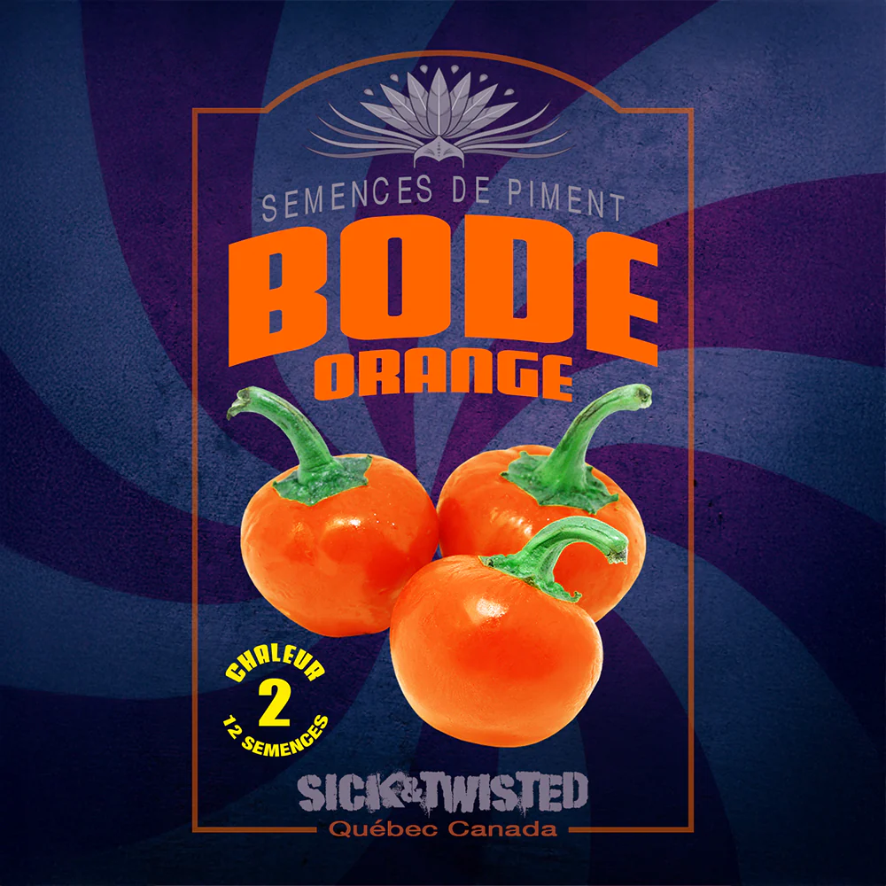 Piment fort 'Bode Orange'
