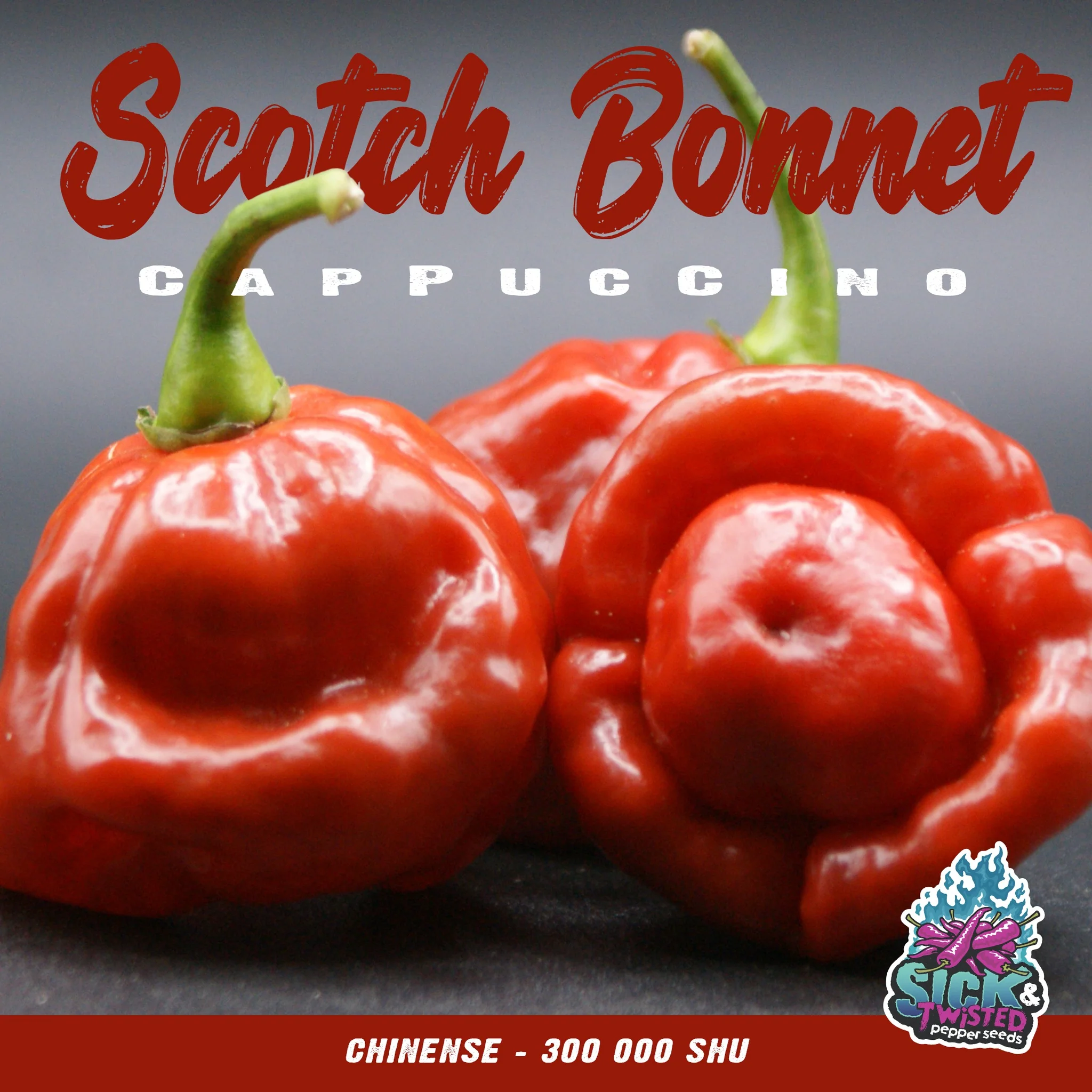Piment fort 'Scotch Bonnet Cappuccino'