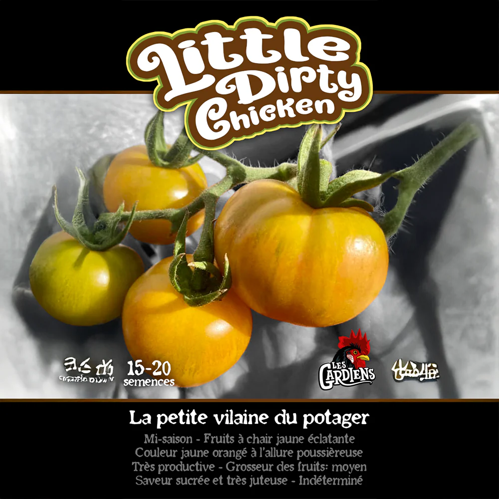 Tomate 'Little Dirty Chicken'
