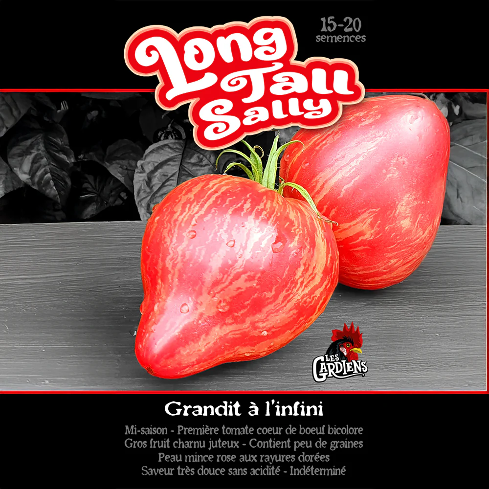 Tomate 'Long Tall Sally'