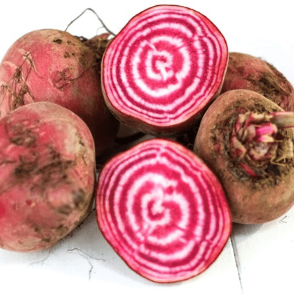 Betterave 'Chioggia Guardsmark' bio