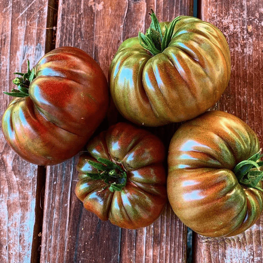 Tomate 'Black from Tula' bio