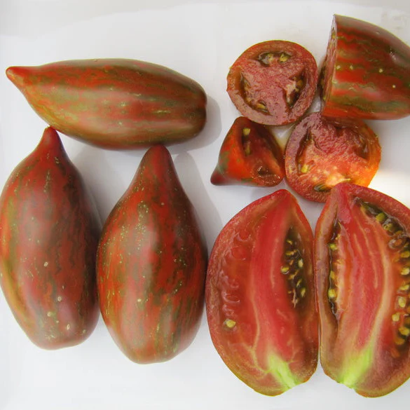 Tomate 'Boar's Tooth' bio