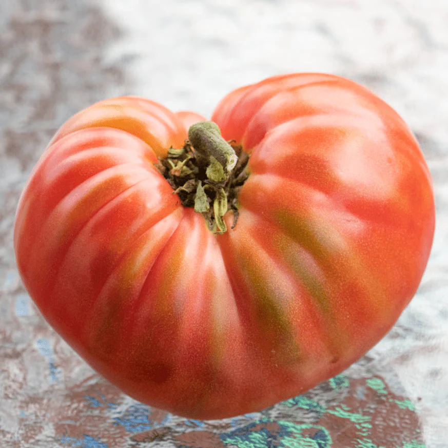 Tomate 'Brandywine Red' bio