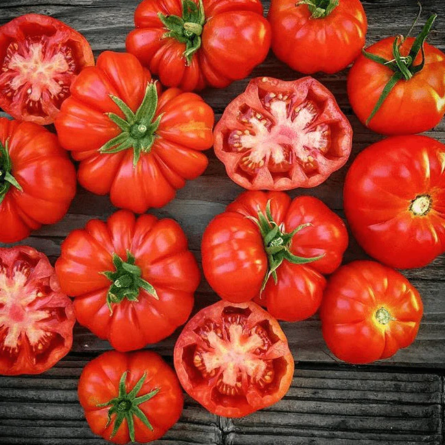 Tomate 'Red Rosso Sicilian' bio