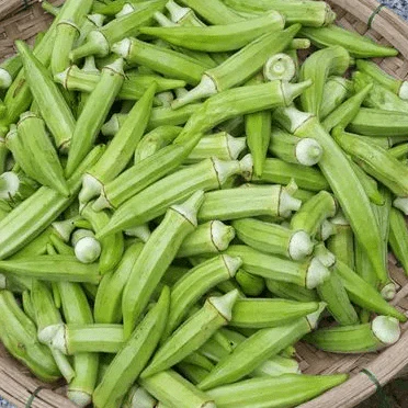 Gombo 'Green Emerald' bio