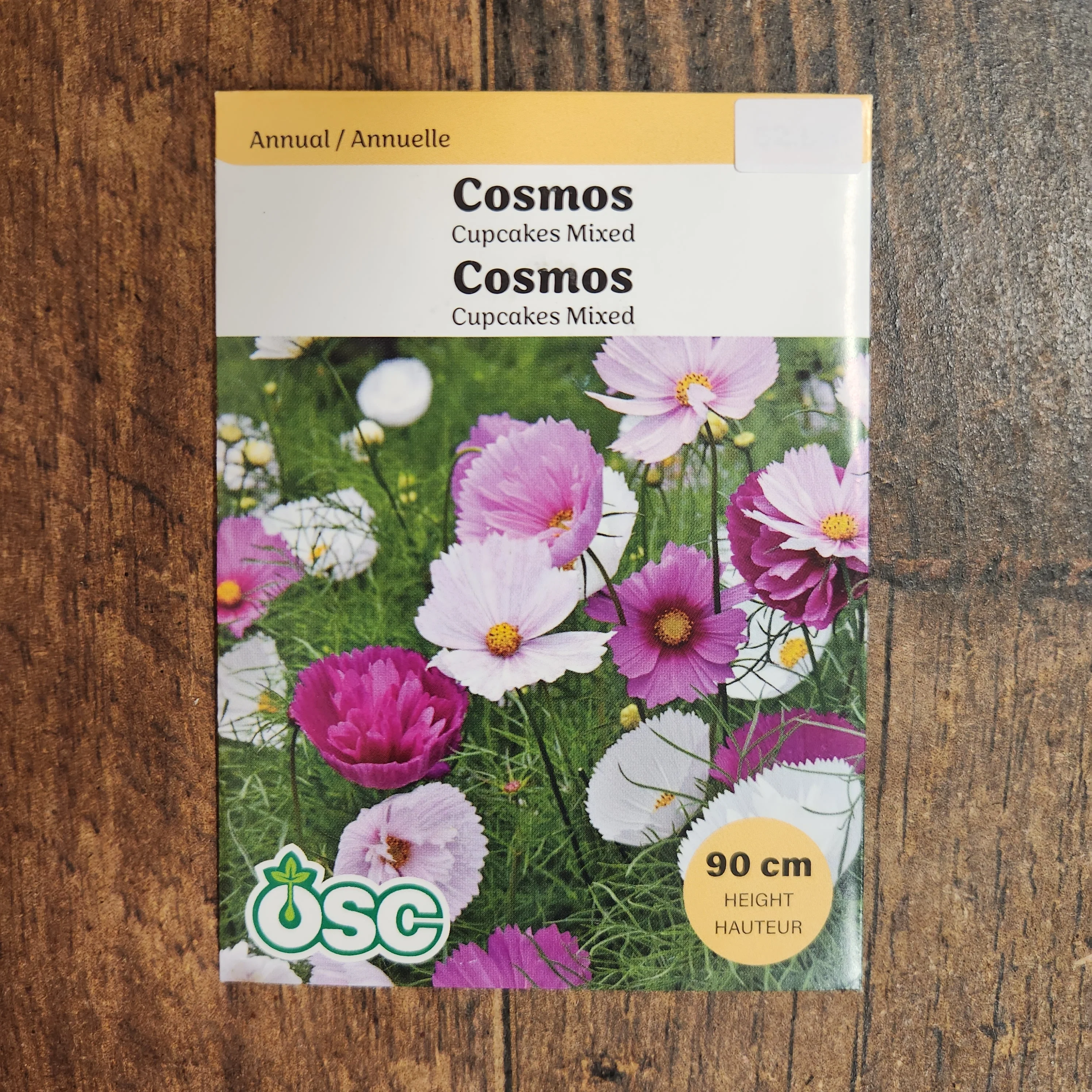 Cosmos mélange 'Cupcakes' - Image 2