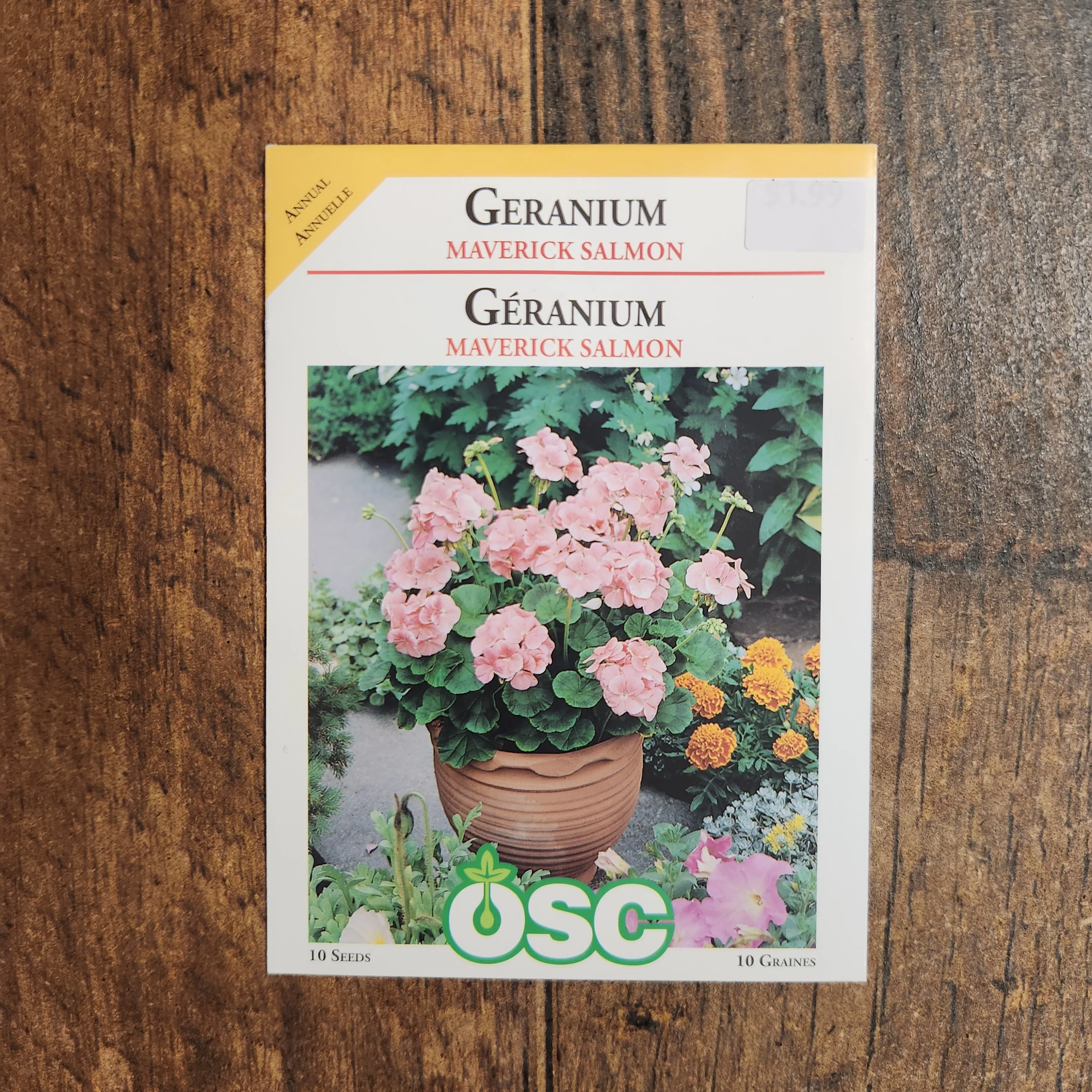 Géranium 'Maverick Saumon' - Image 2