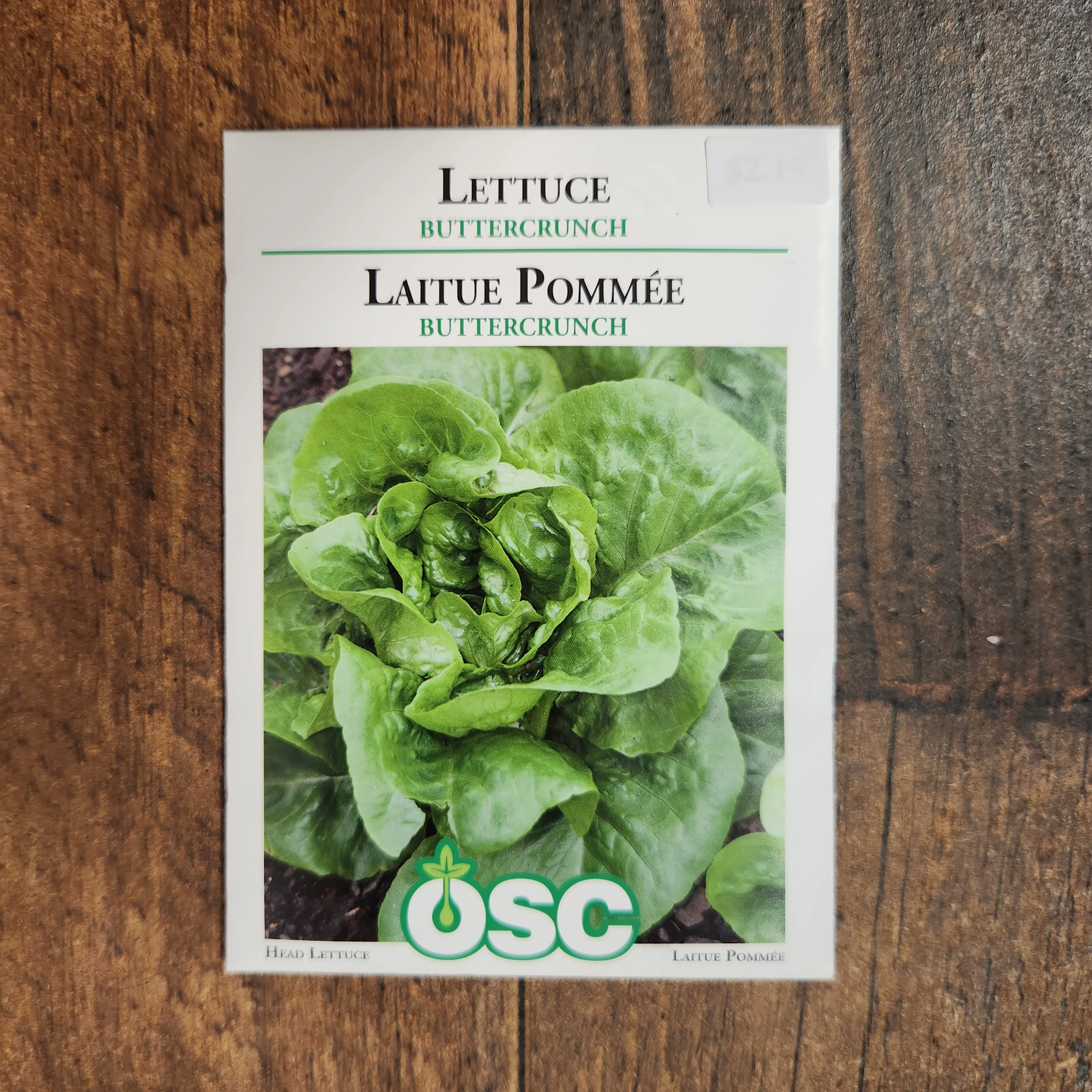 Laitue boston 'Buttercrunch' - Image 2