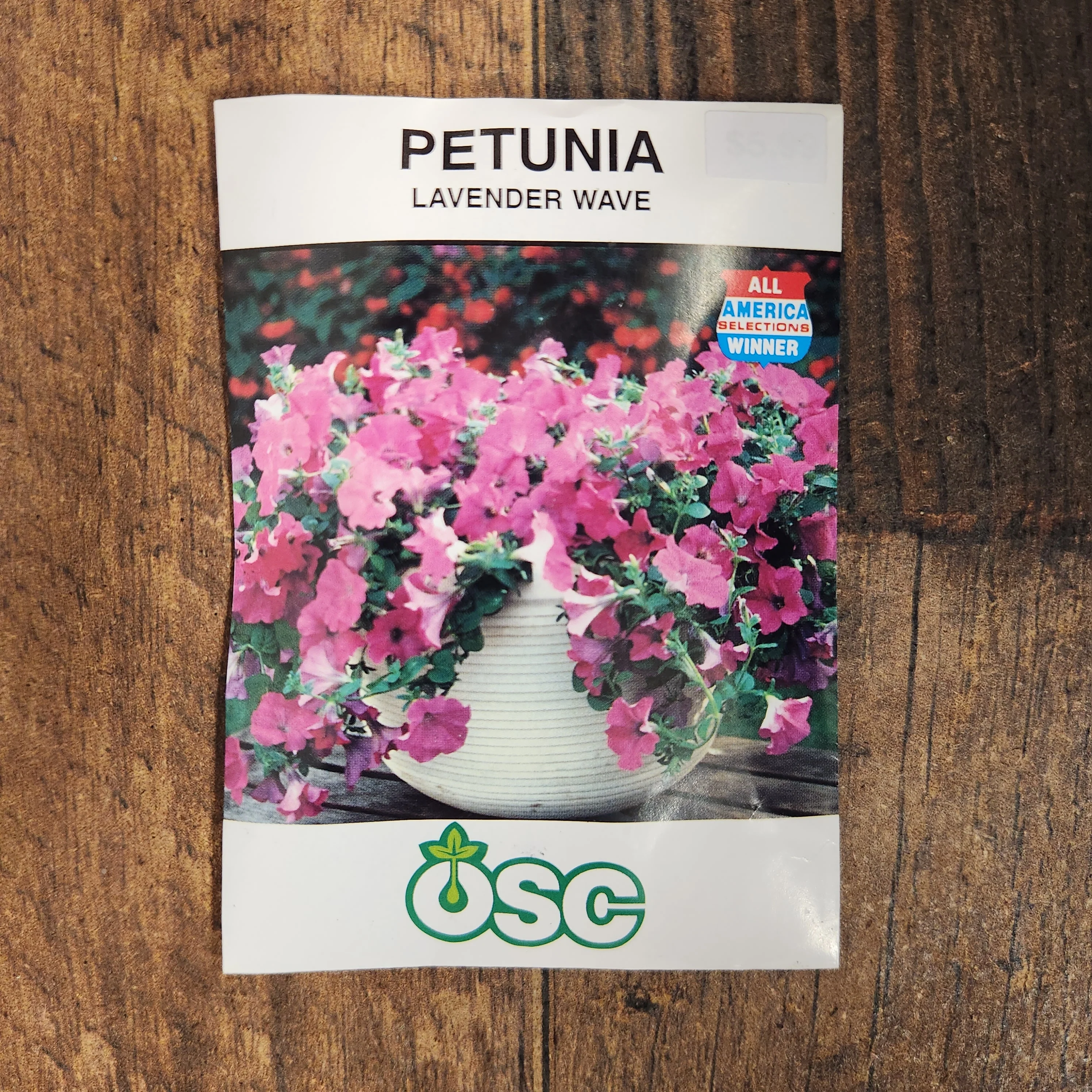 Pétunia Wave 'Lavender' - Image 2