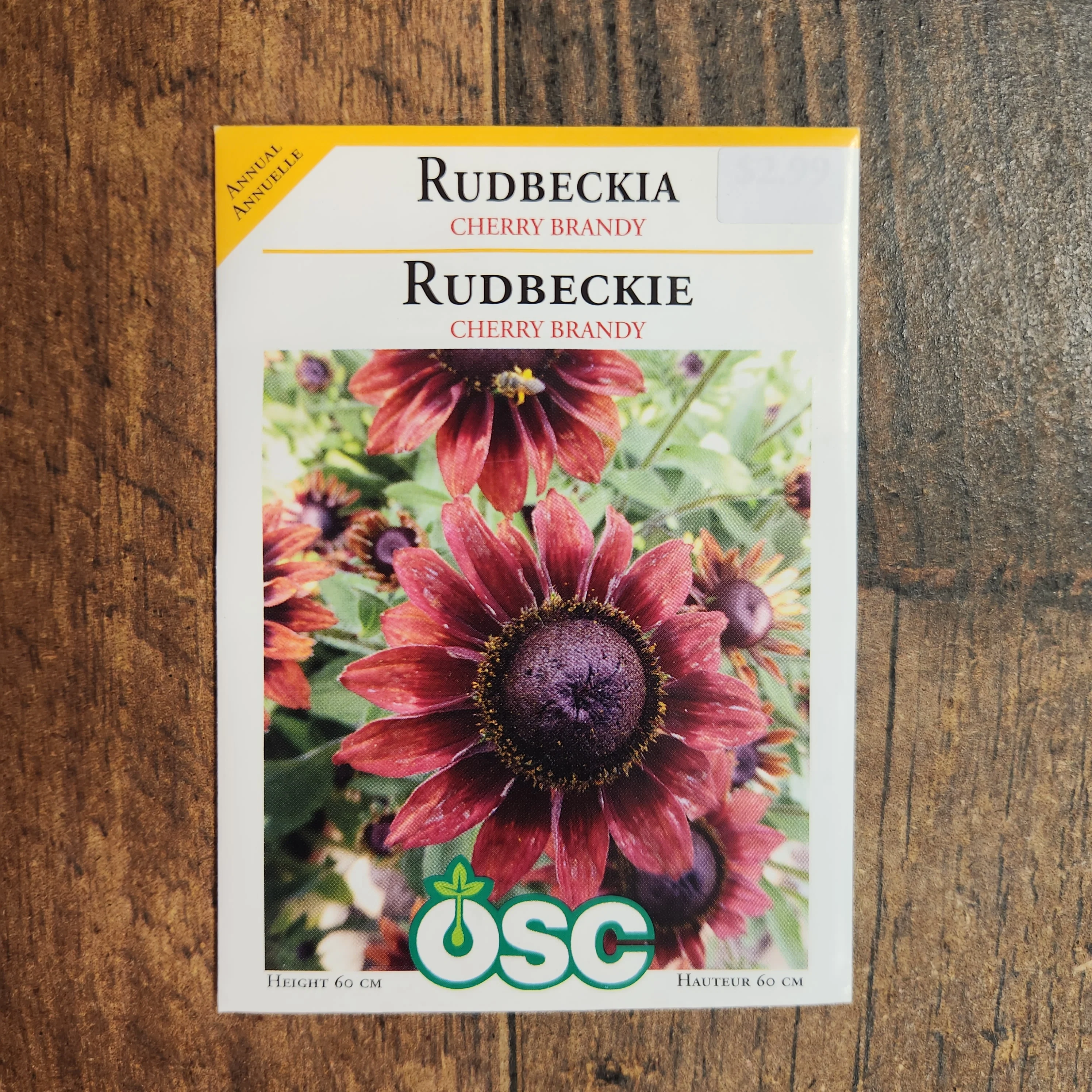 Rudbeckie 'Cherry Brandy' - Image 2