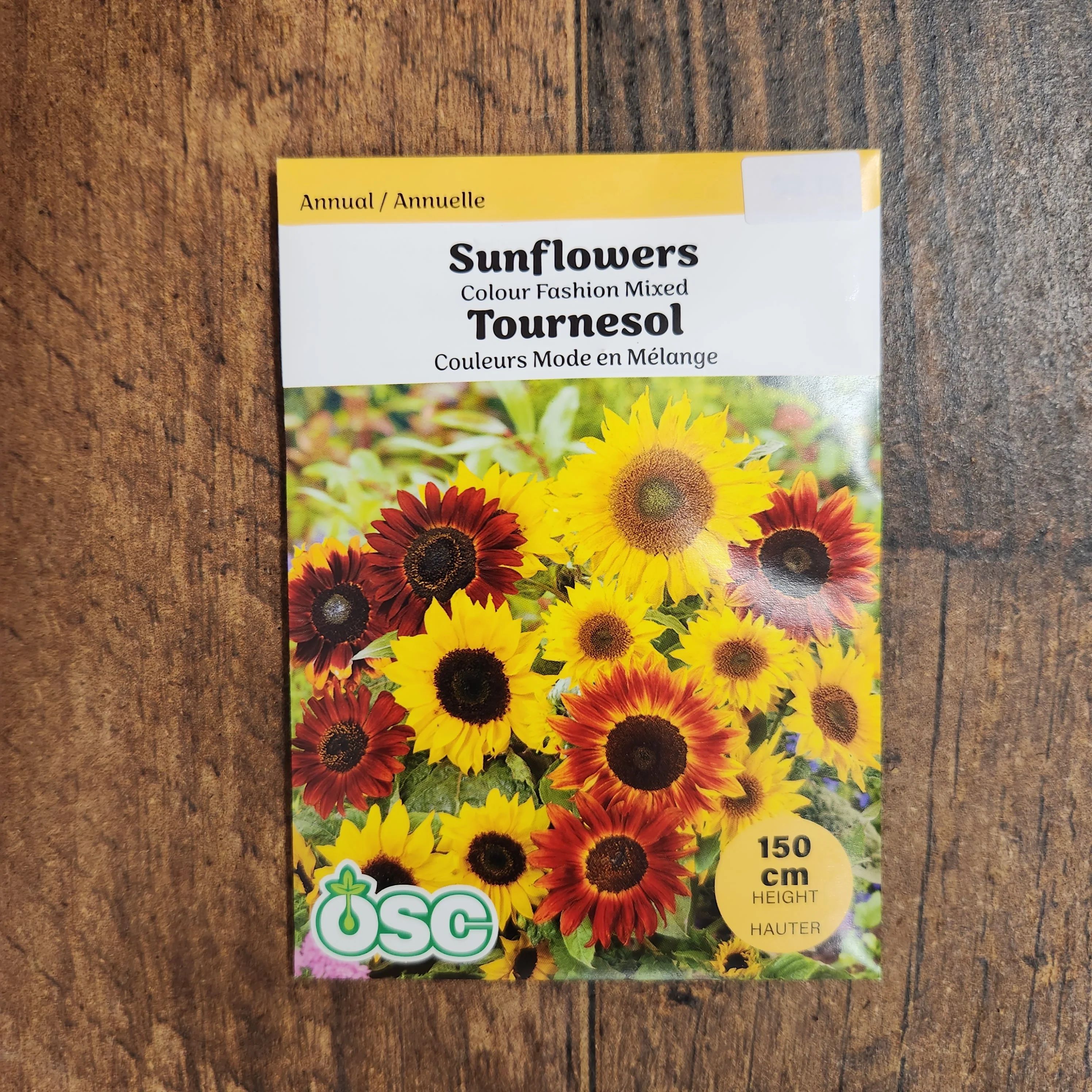 Tournesol mélange 'Colour Fashion' - Image 2