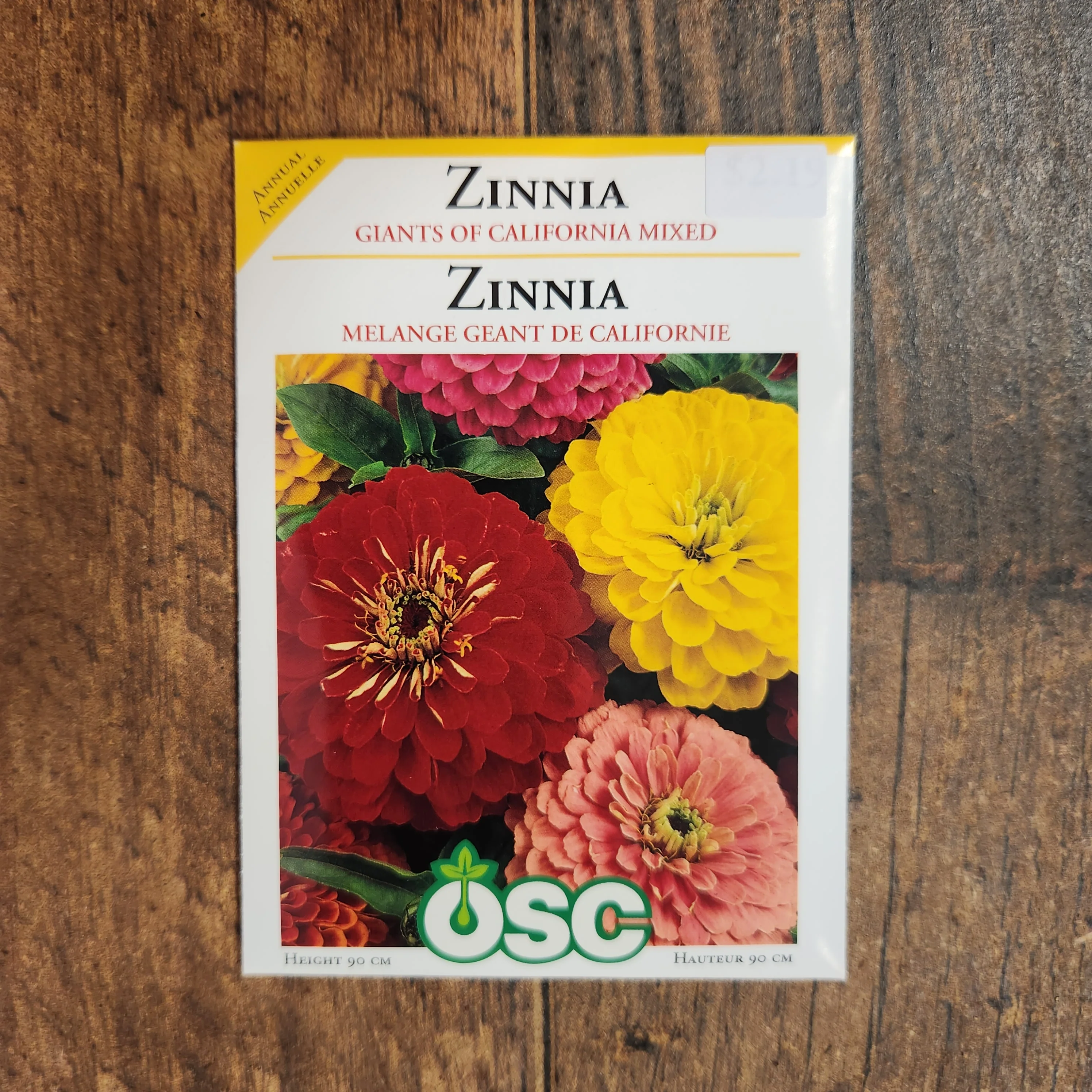 Mélange de zinnia 'Géants de Californie' - Image 2