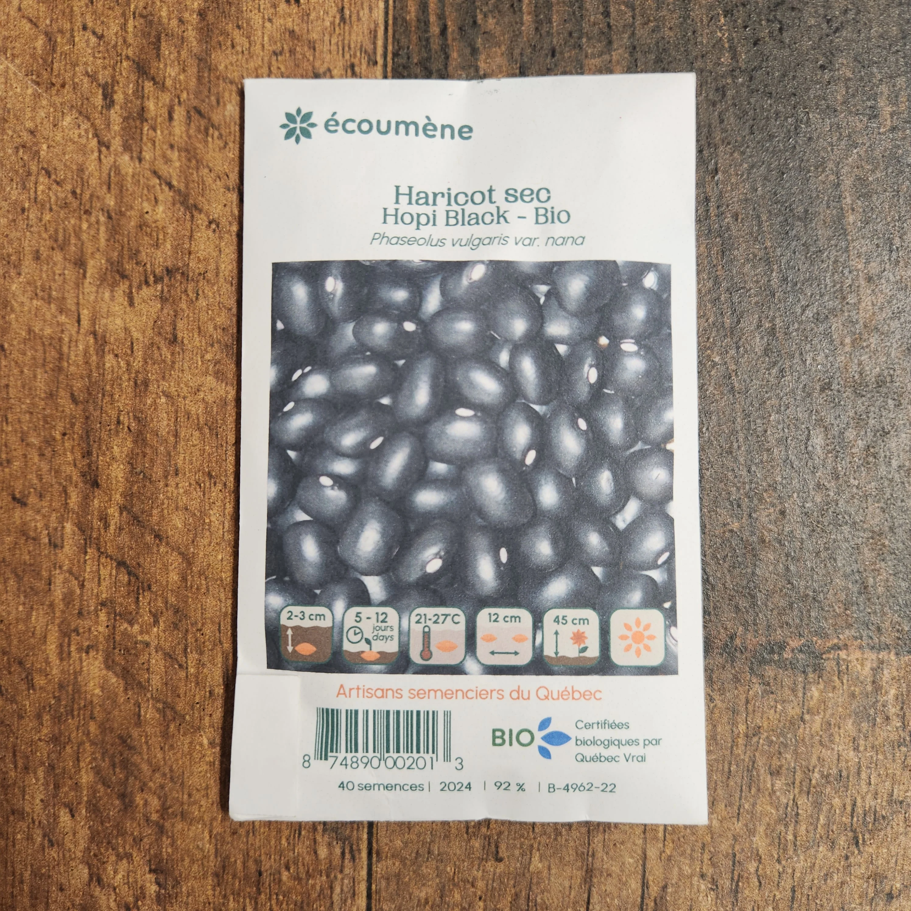 Haricot Sec 'Hopi Black' bio - Image 2