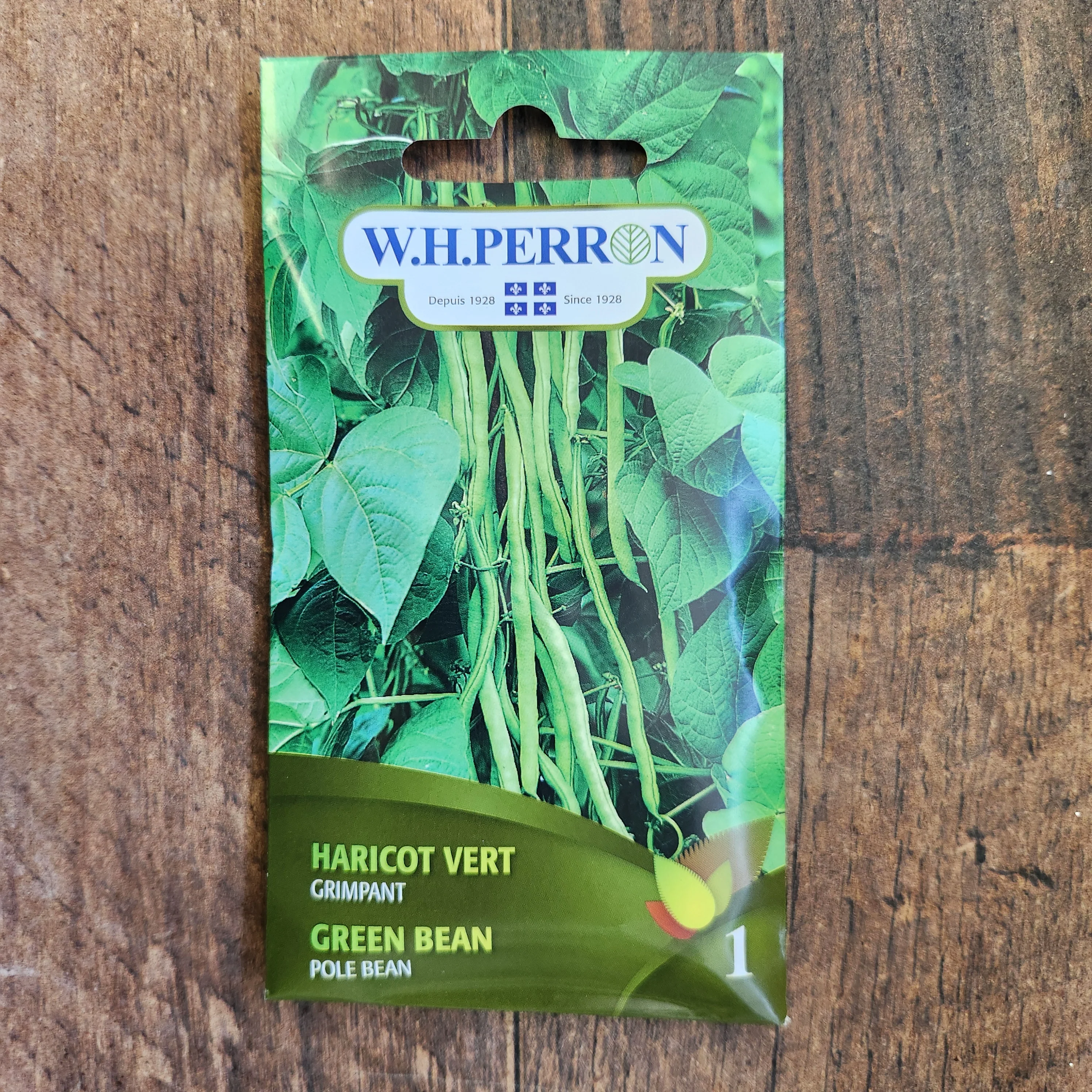 Haricot grimpant vert - Image 2