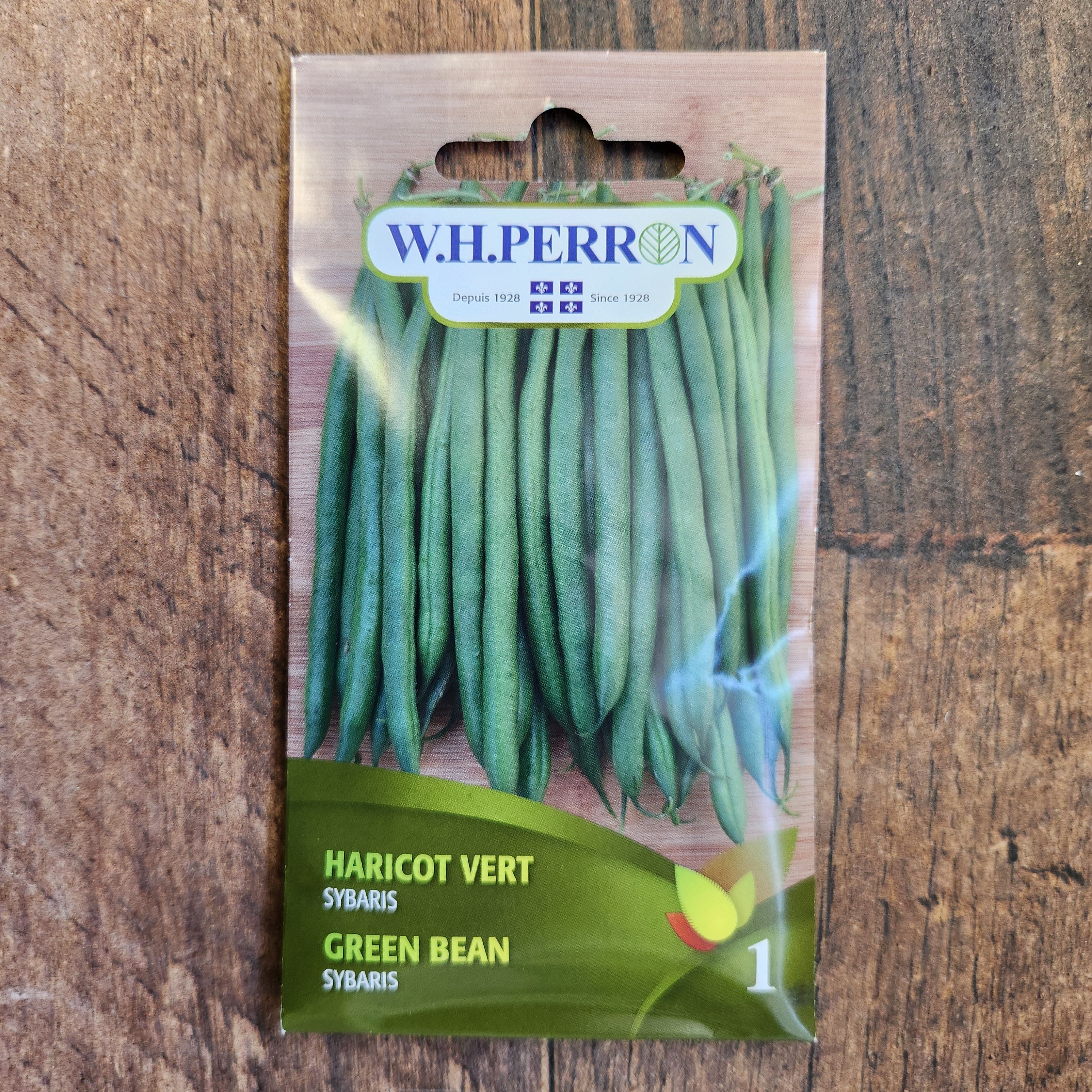 Haricot vert 'Sybaris' - Image 2