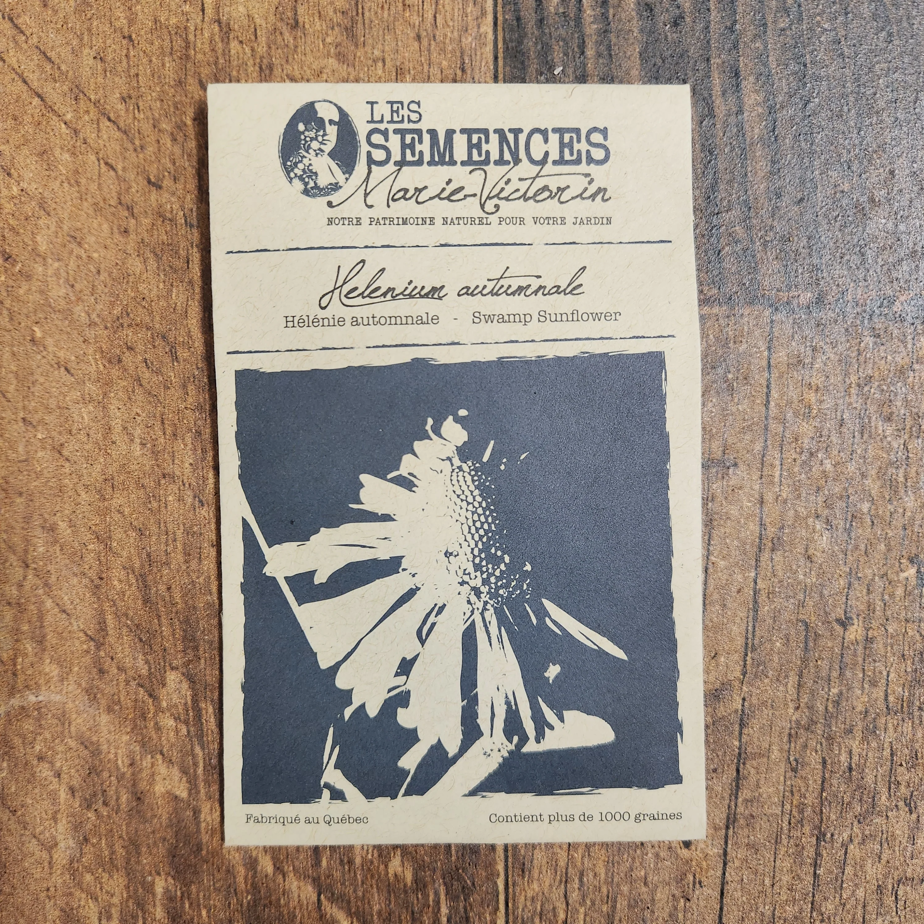 Hélénie automnale - Image 2