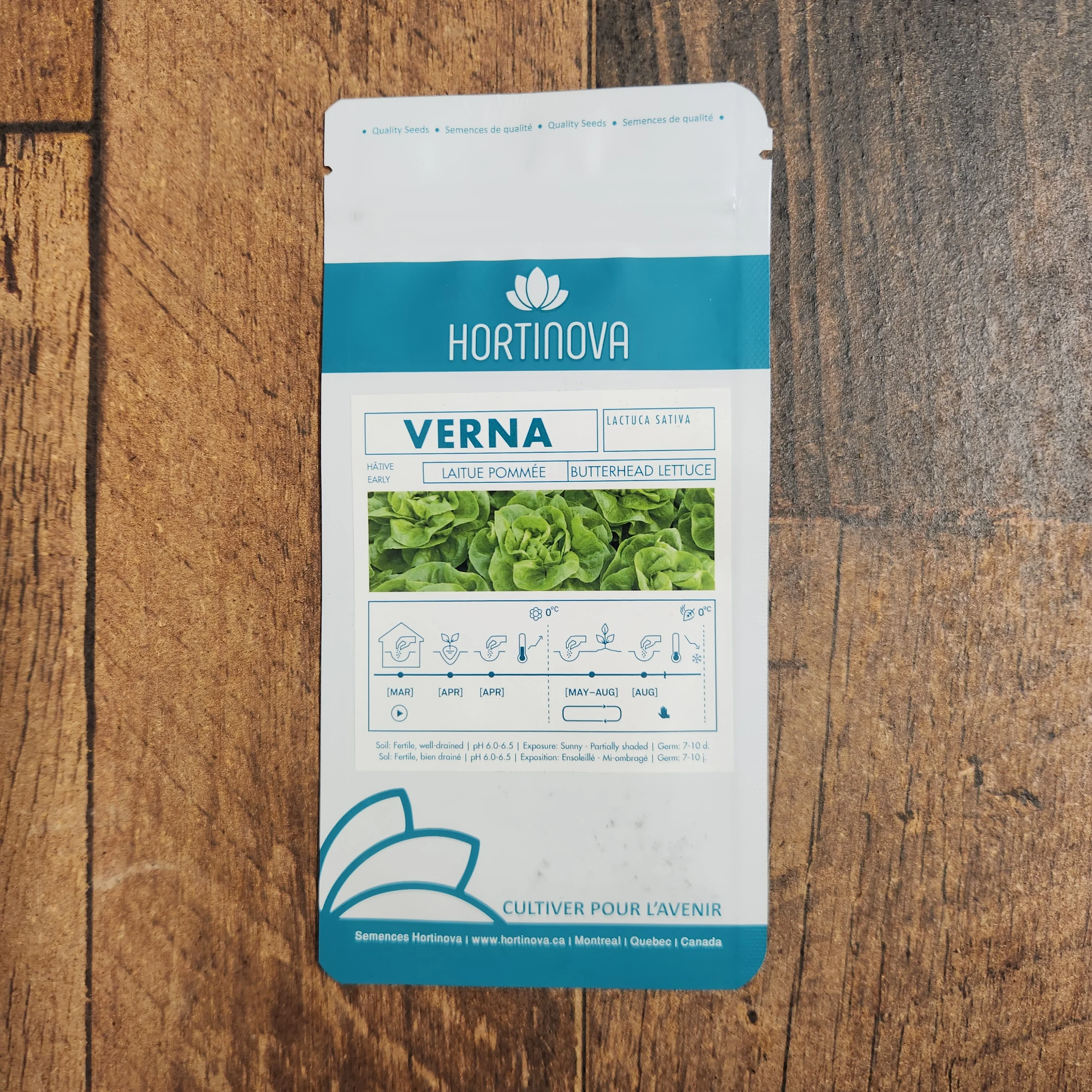 Laitue Pommée Verte 'Verna' - Image 2
